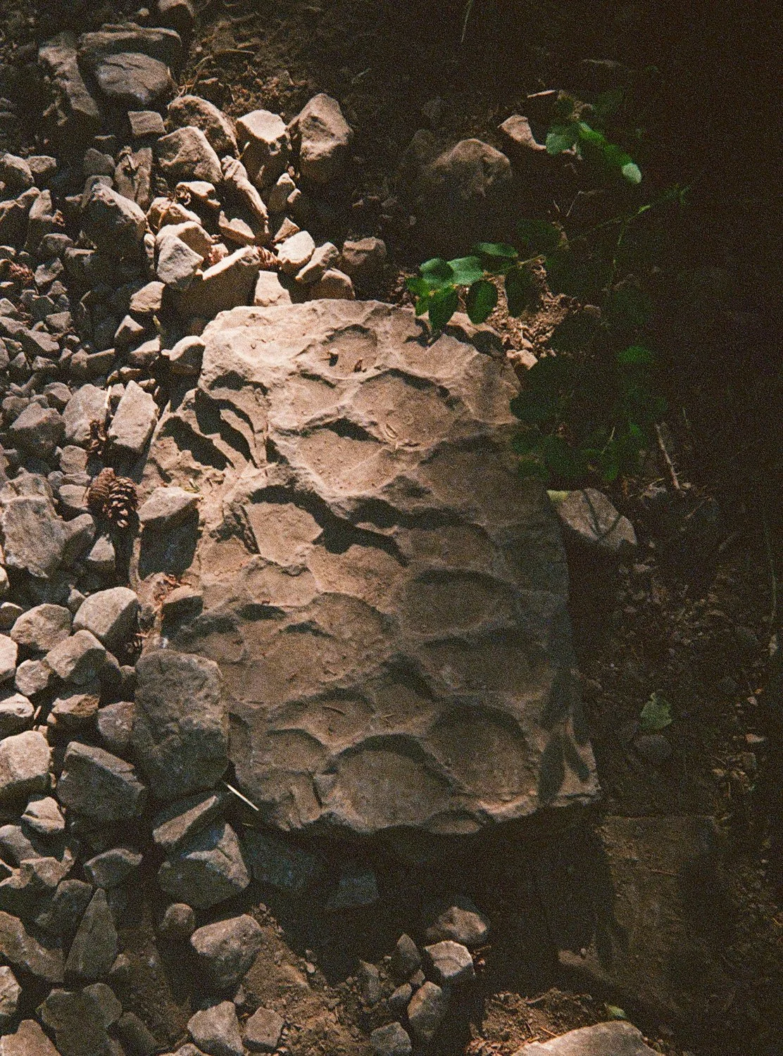 Magic Rock, 2025. Inkjet print, 14”x11”