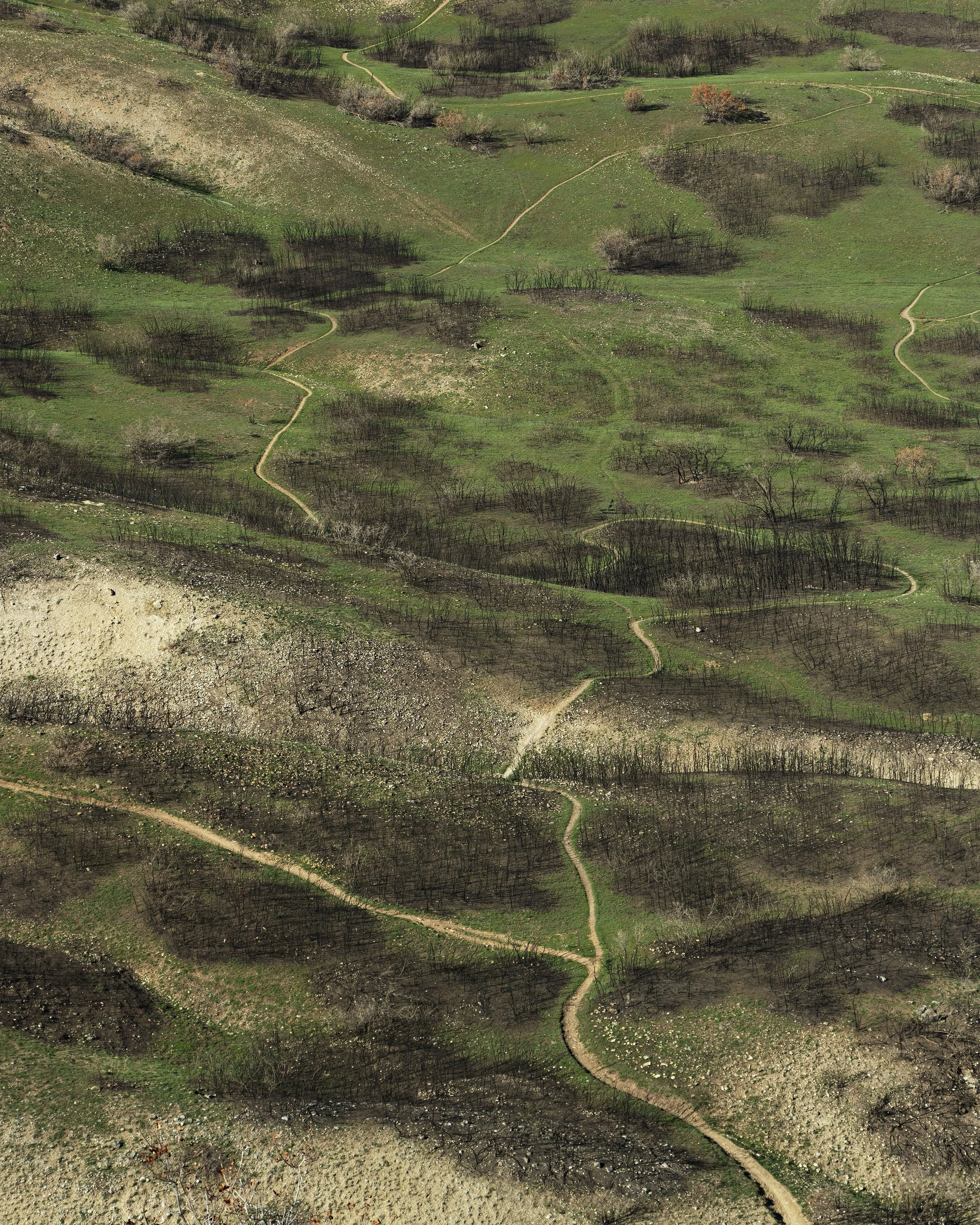 Range Fire Scars I, 2021.  Inkjet Print, 24"x20".