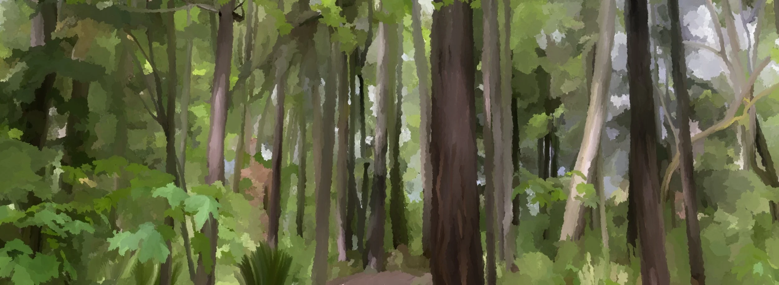 YT_Banner.jpg