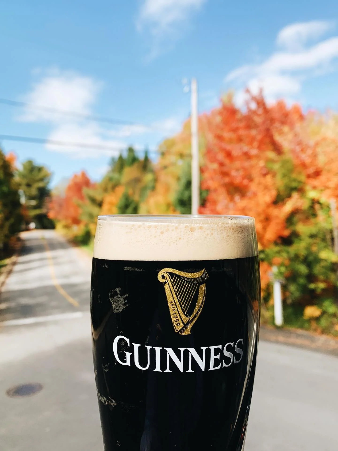 Un p&rsquo;tit Guinness de mardi? Tim trouve aussi que c&rsquo;est une excellente id&eacute;e 

🙃🍺🤎

How about little cheeky Tuesday Guinness? Timothy sure thinks you should 🙃