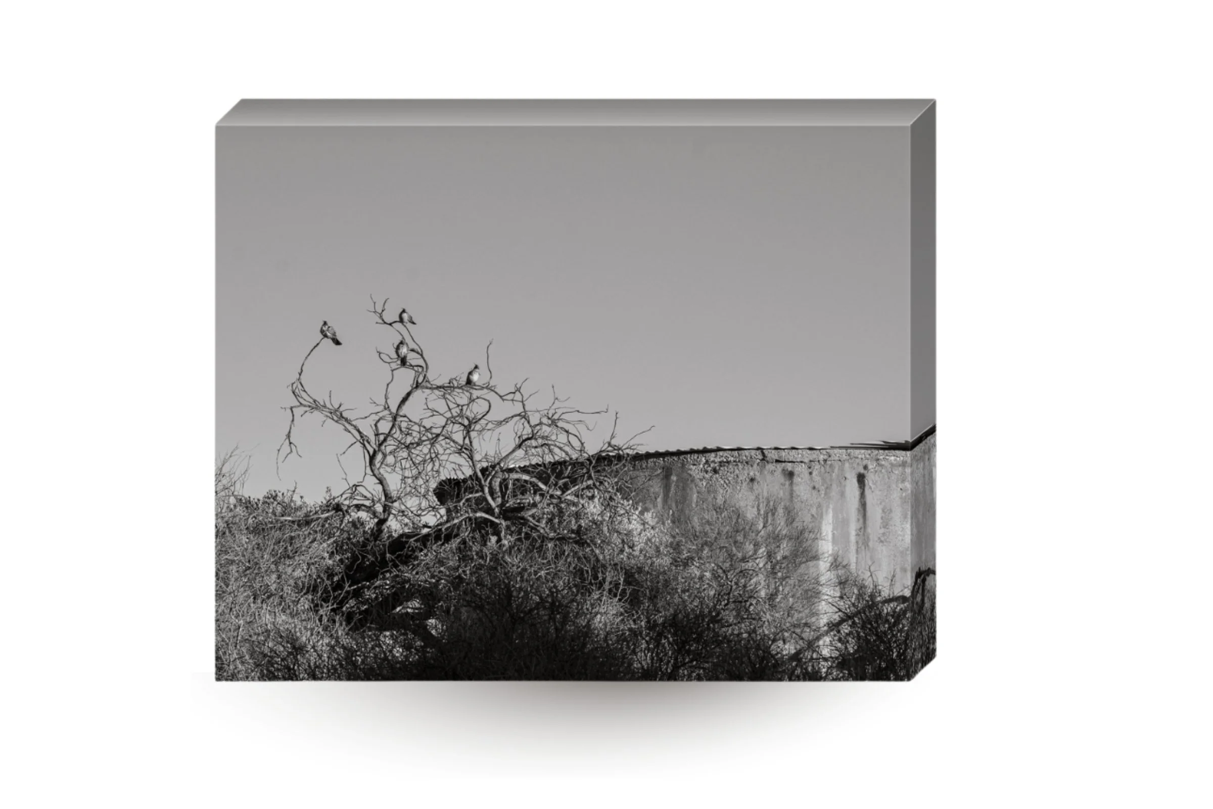 Print product img (3).jpg