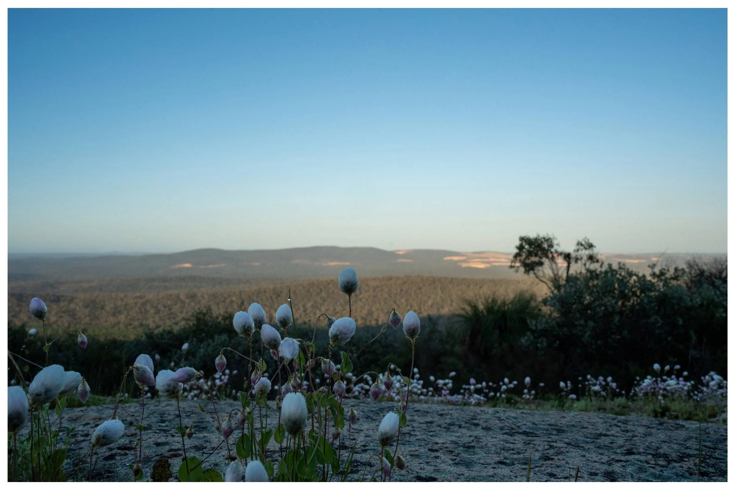 Print product img.jpg