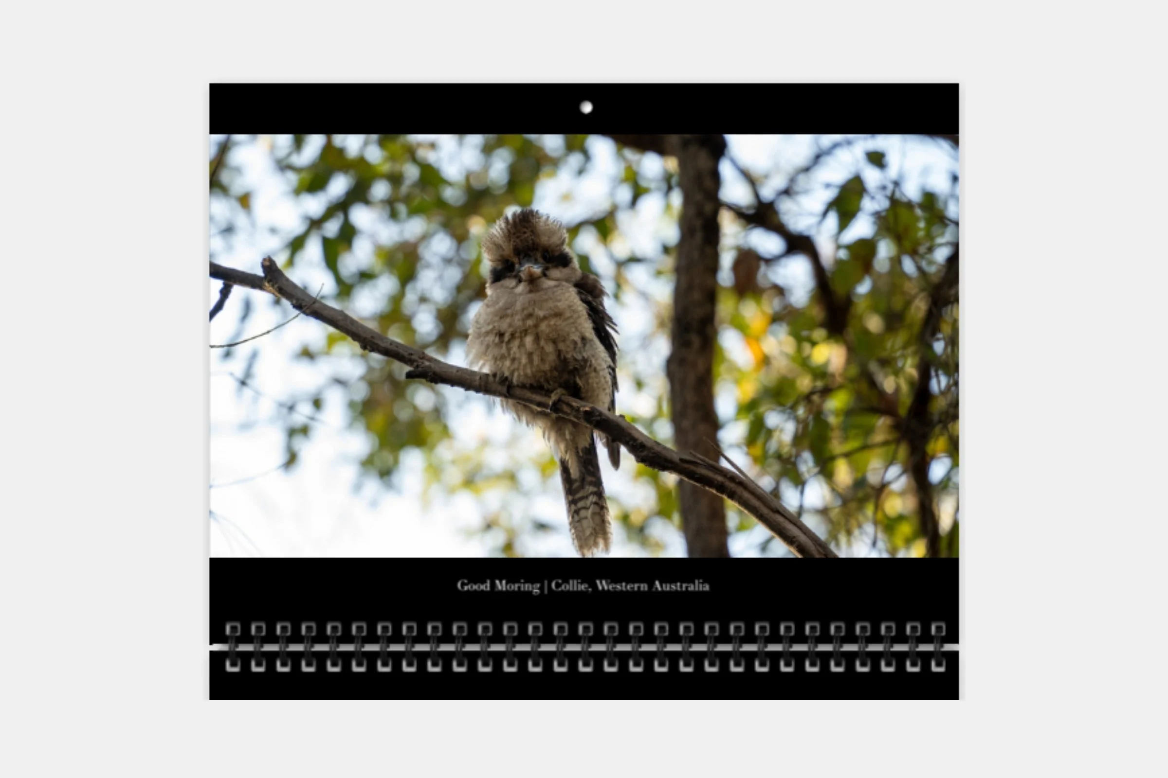 Print product img (14).jpg