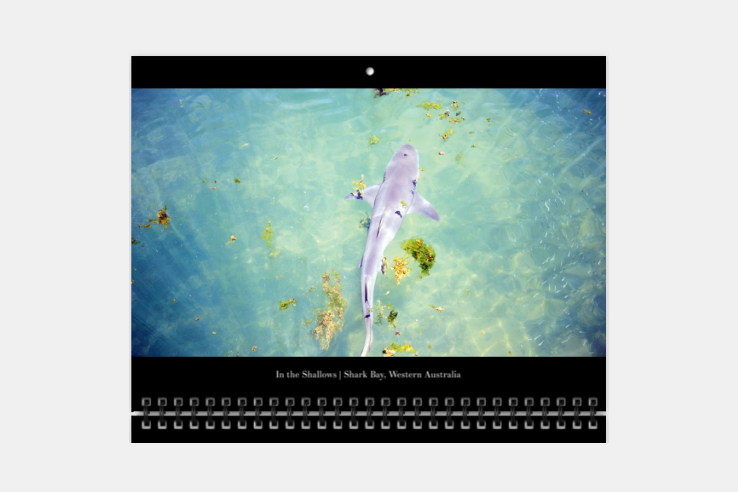 Print product img (7).jpg