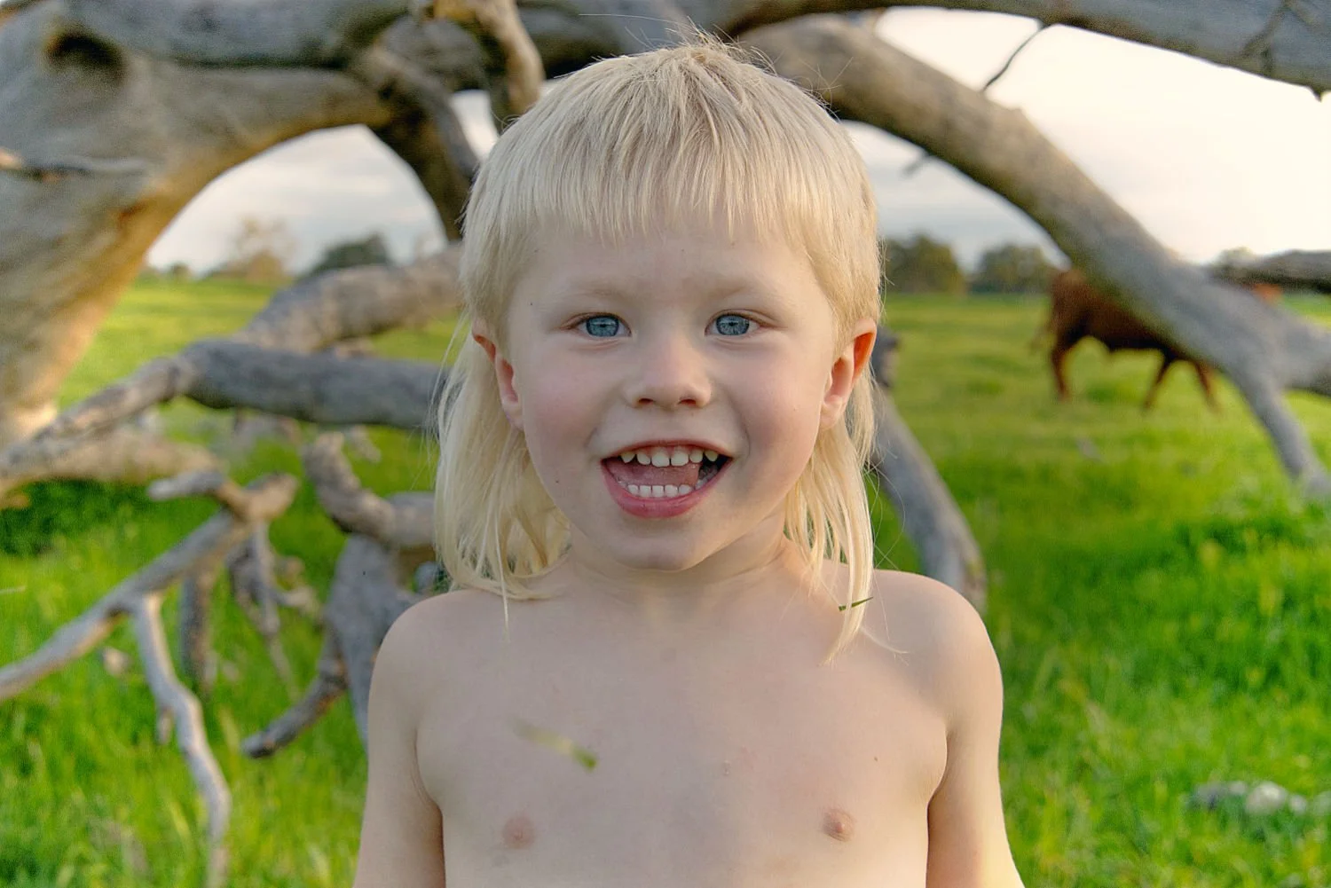 A boy with a blonde mullet smiles at the camera. In the background there is a fallen tree and field with cows