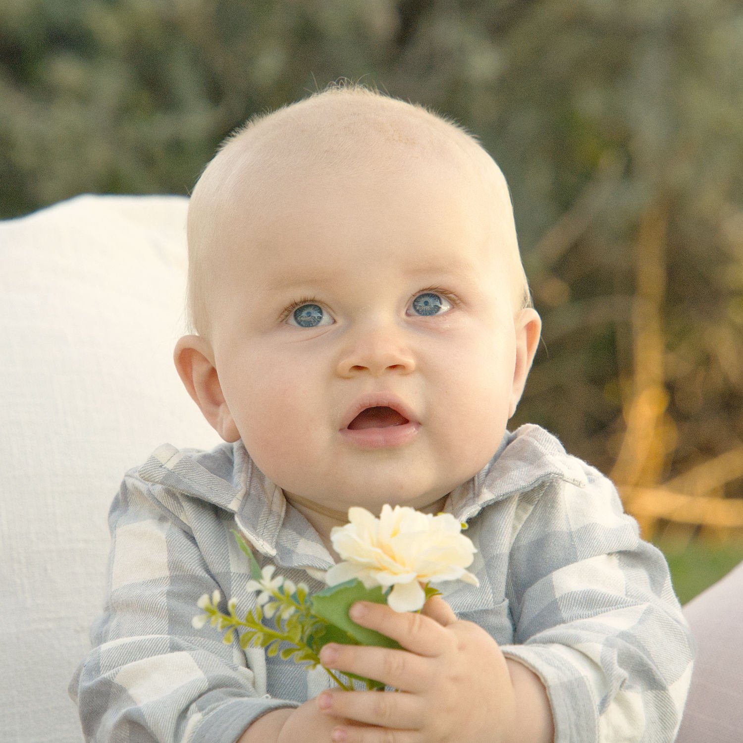 A baby holds a flower and gazes above the camera in this art portrait