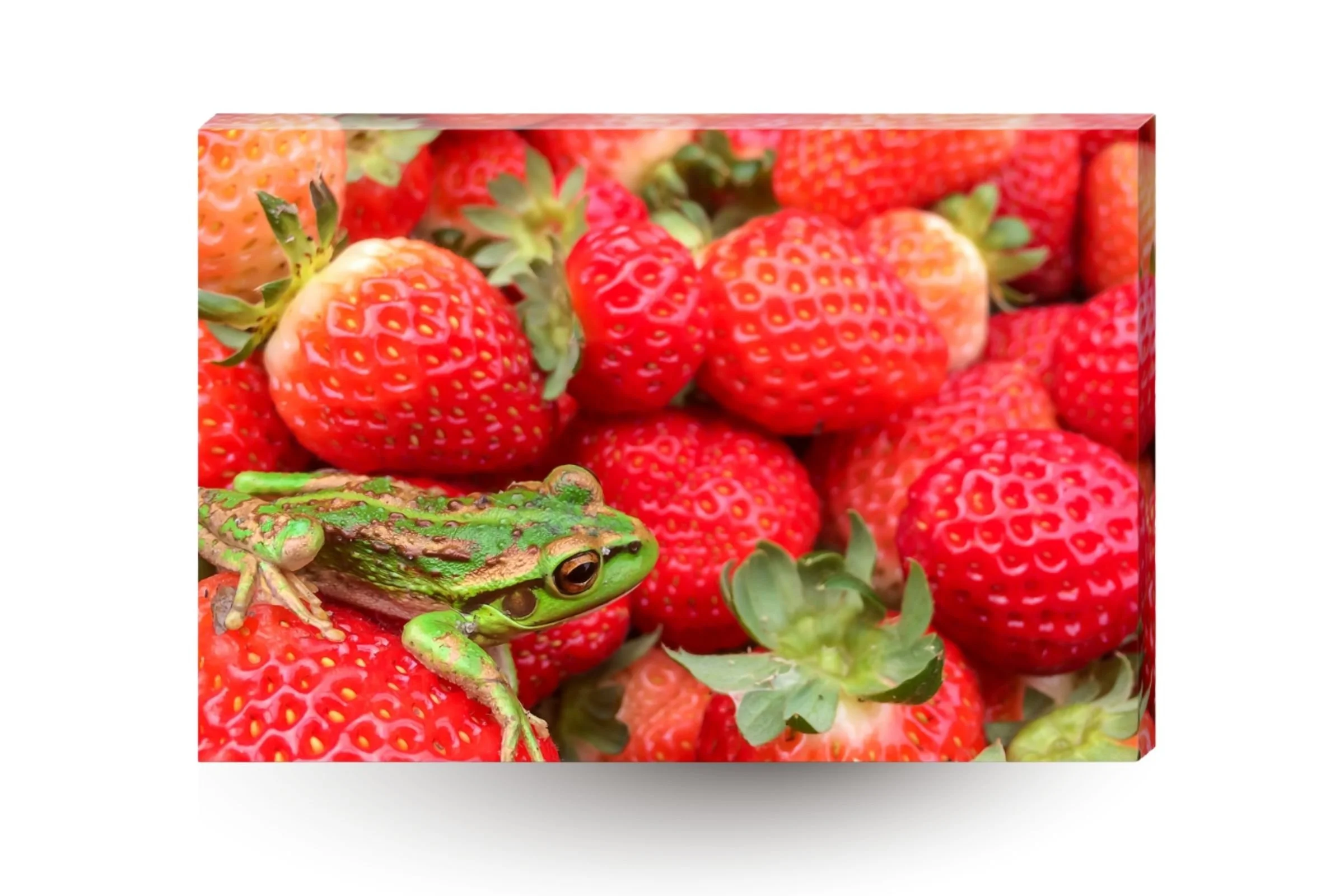 Print product img (2).jpg