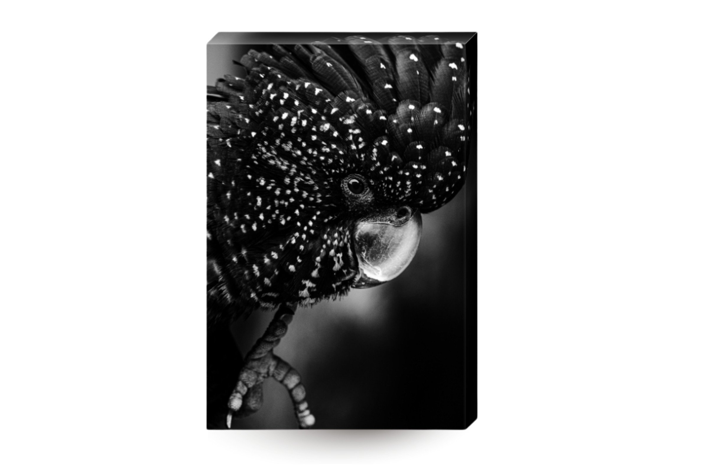 Print product img (2).jpg