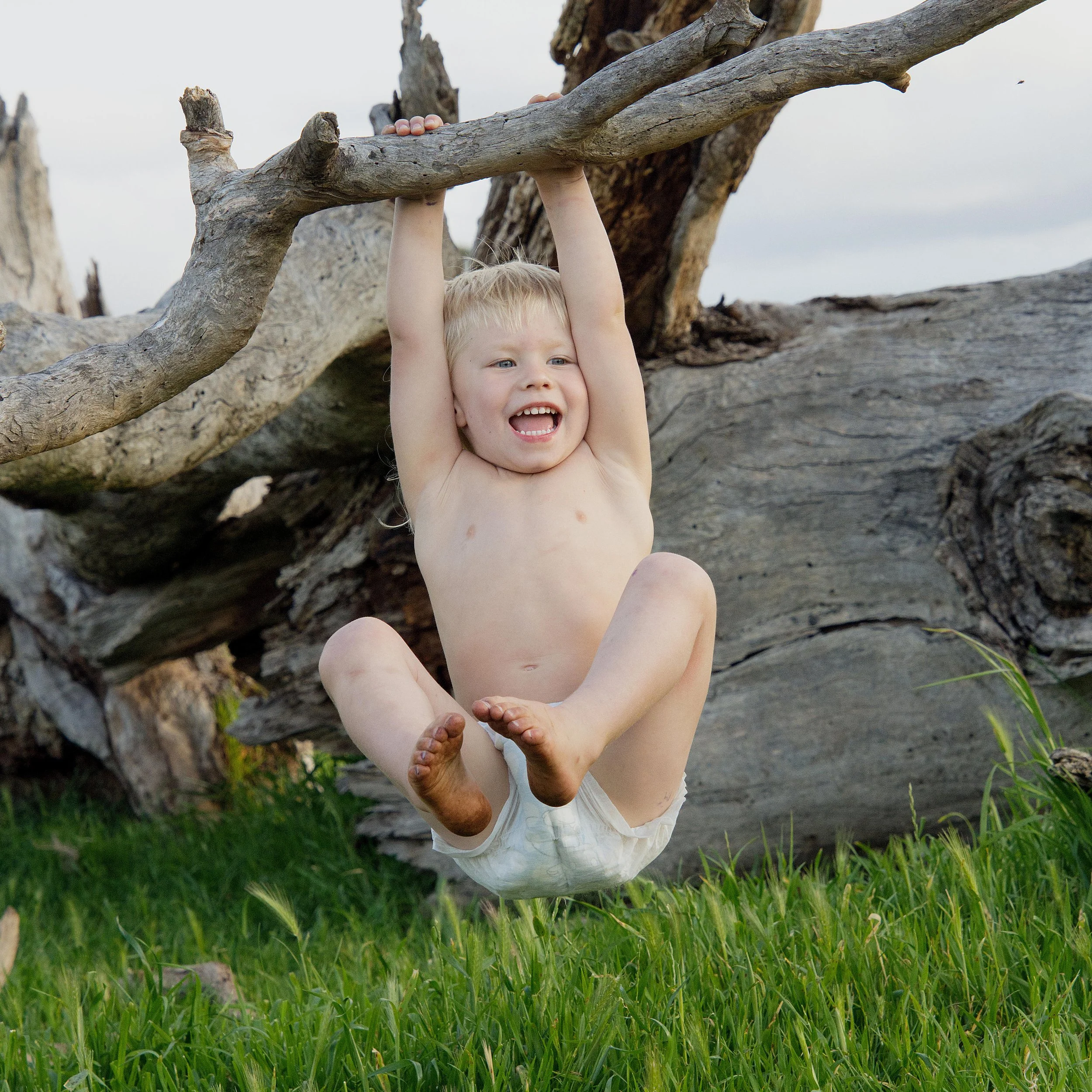 A young boy swinging on a tree branch outdoors, smiling while holding onto the branch with both hands, with green grass and a large fallen tree in the background.