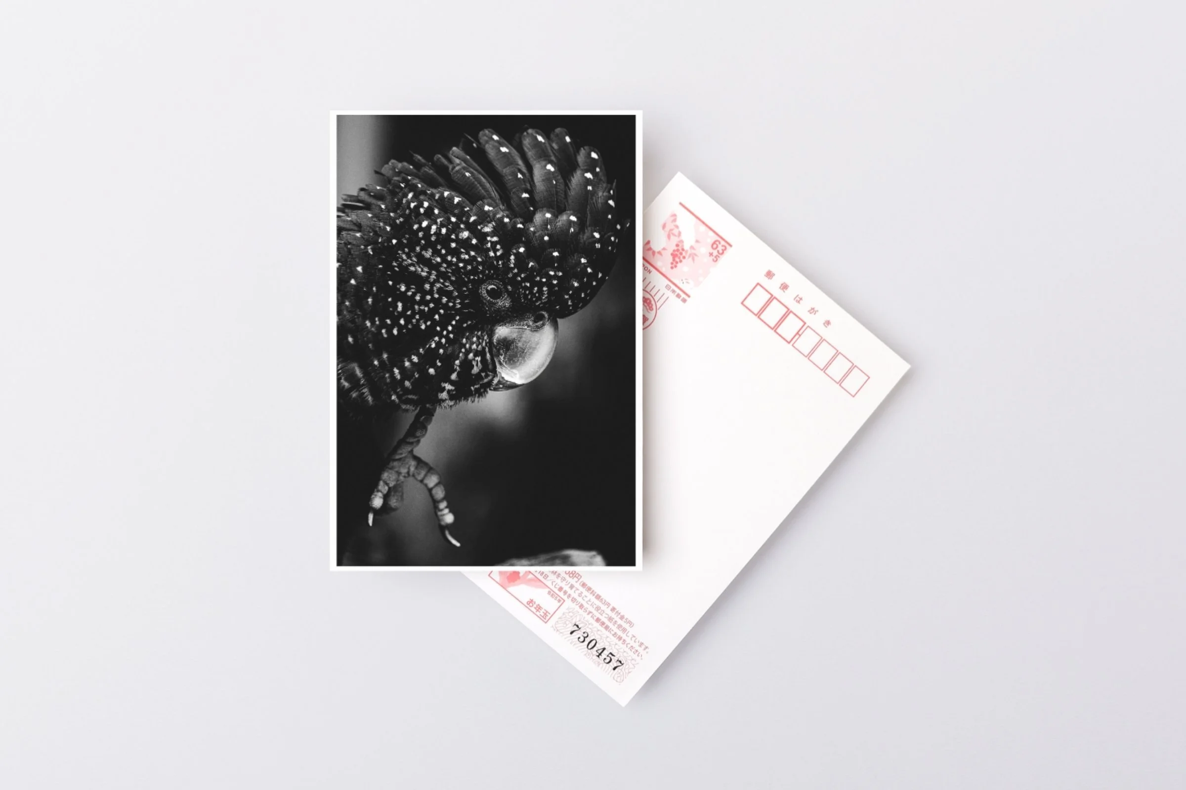 Print product img (4).jpg