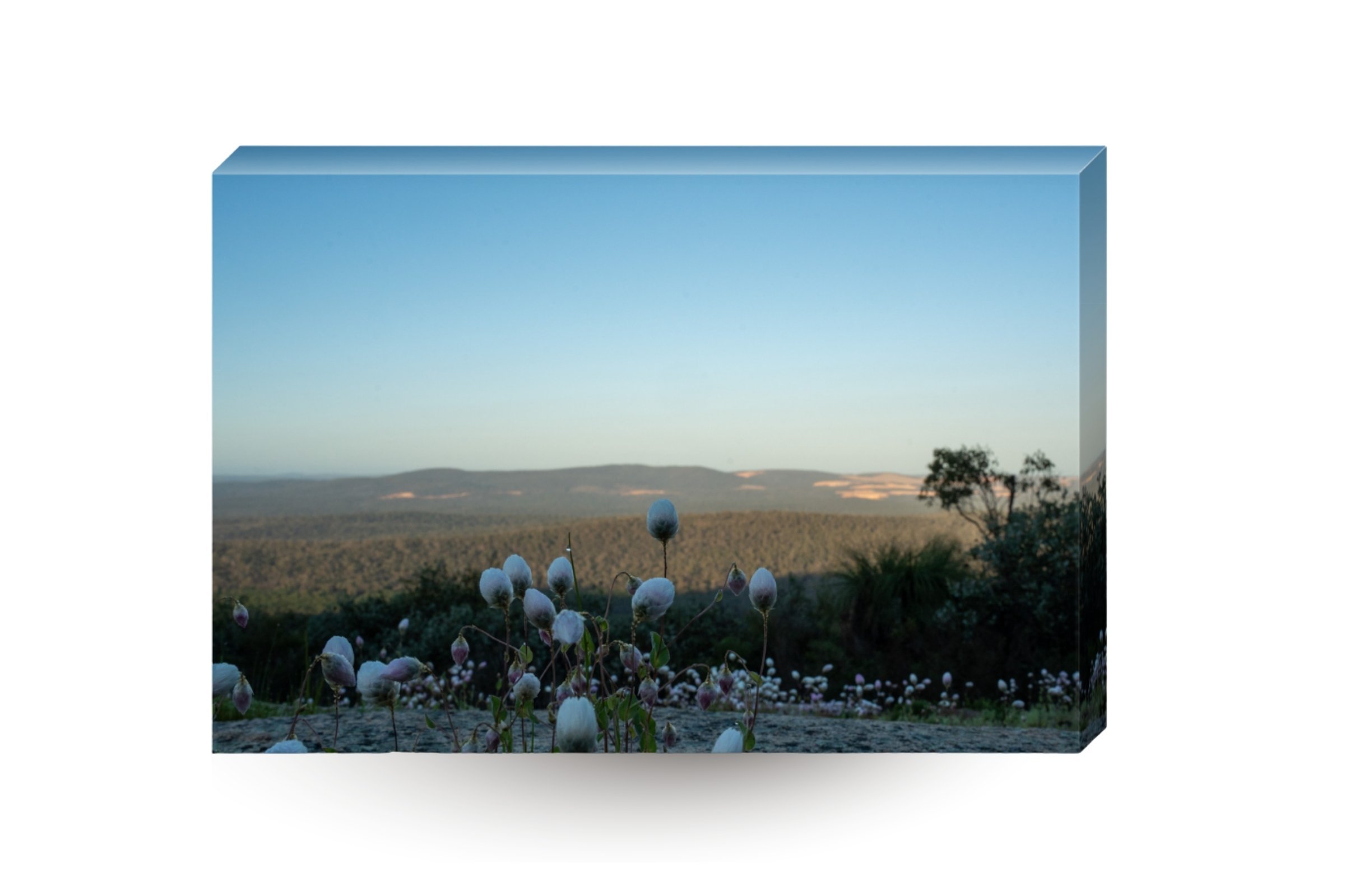 Print product img (2).jpg