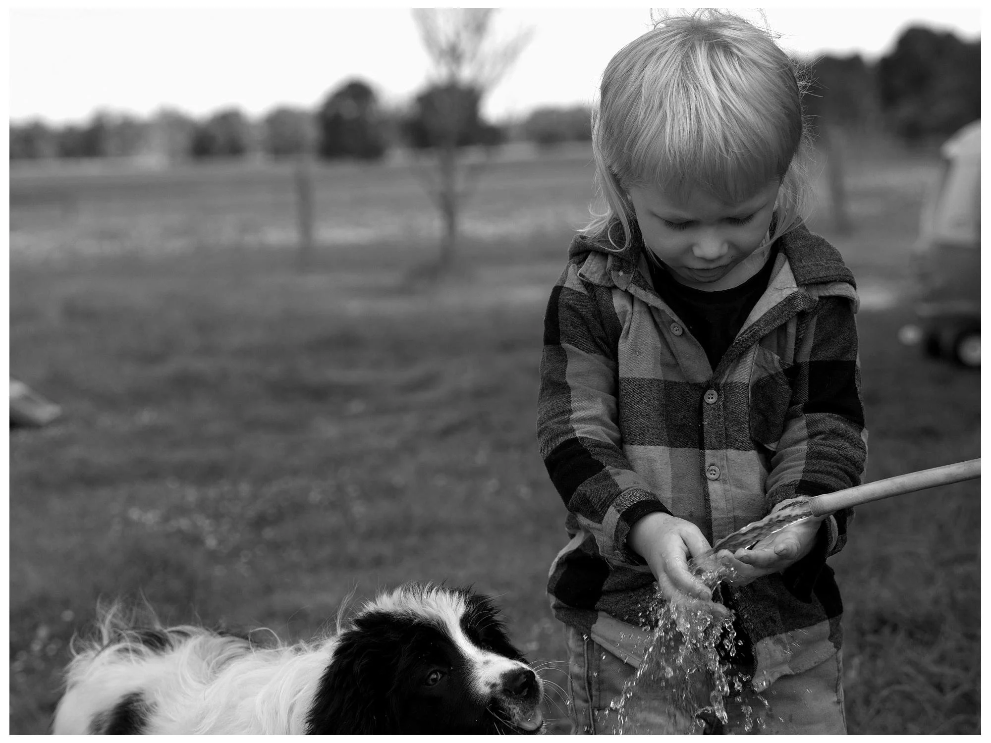 A young child washing a dog in an outdoor park or grassy area on a cloudy day
