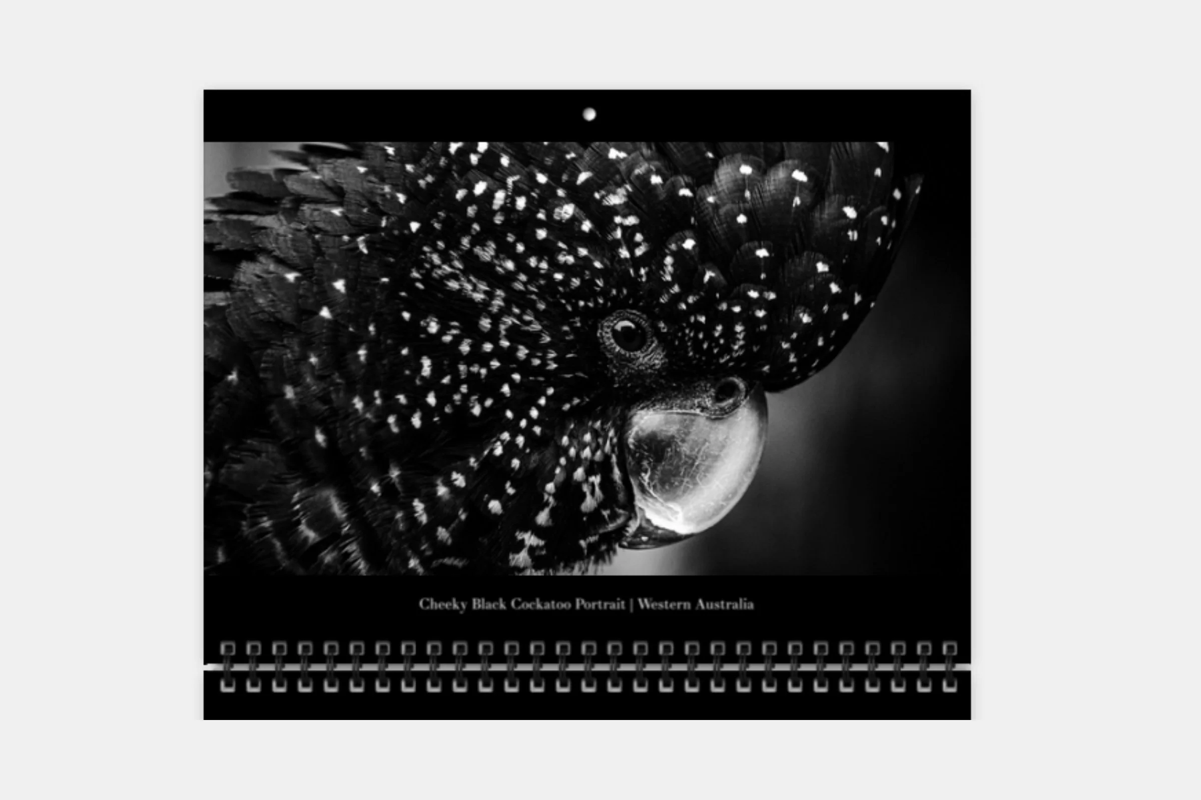 Print product img (8).jpg