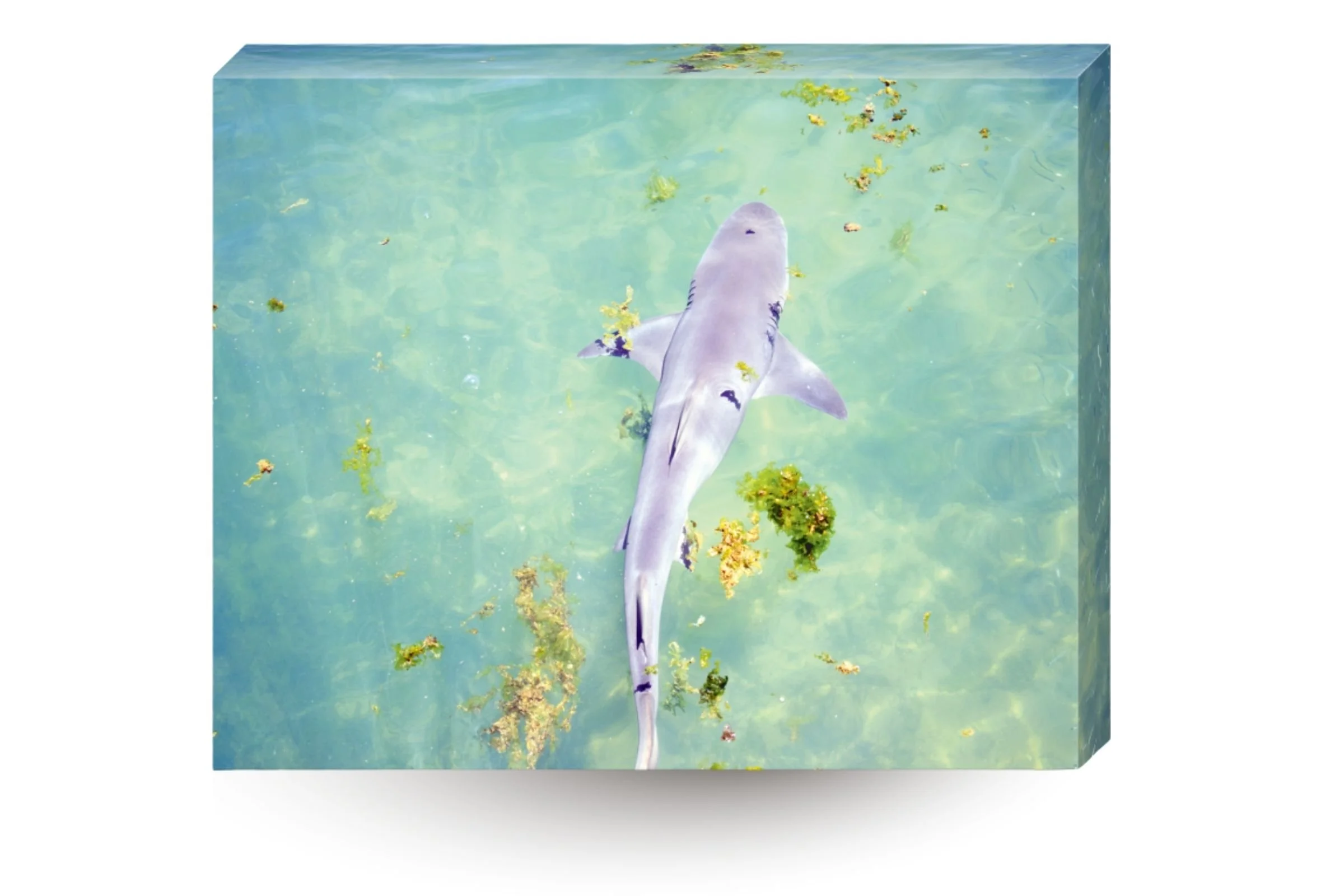 Print product img (2).jpg