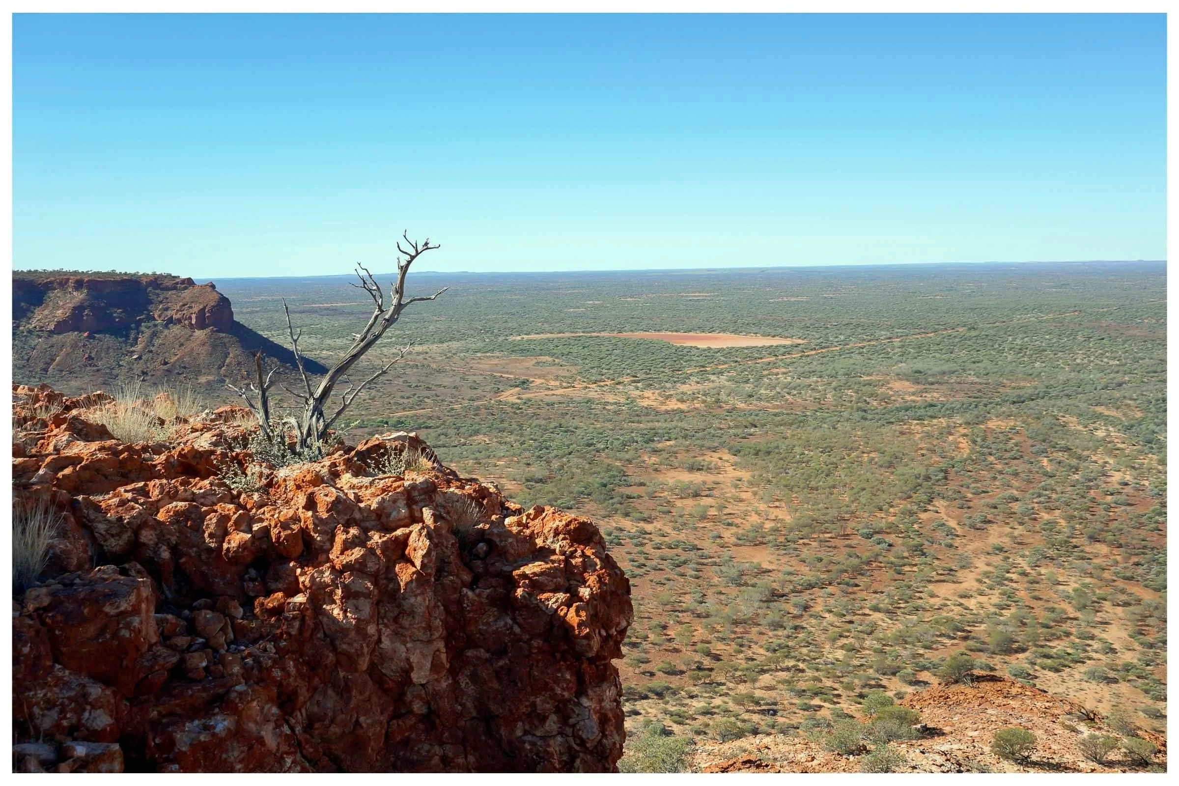 The lonely bush– Kennedy Ranges, Western Australia