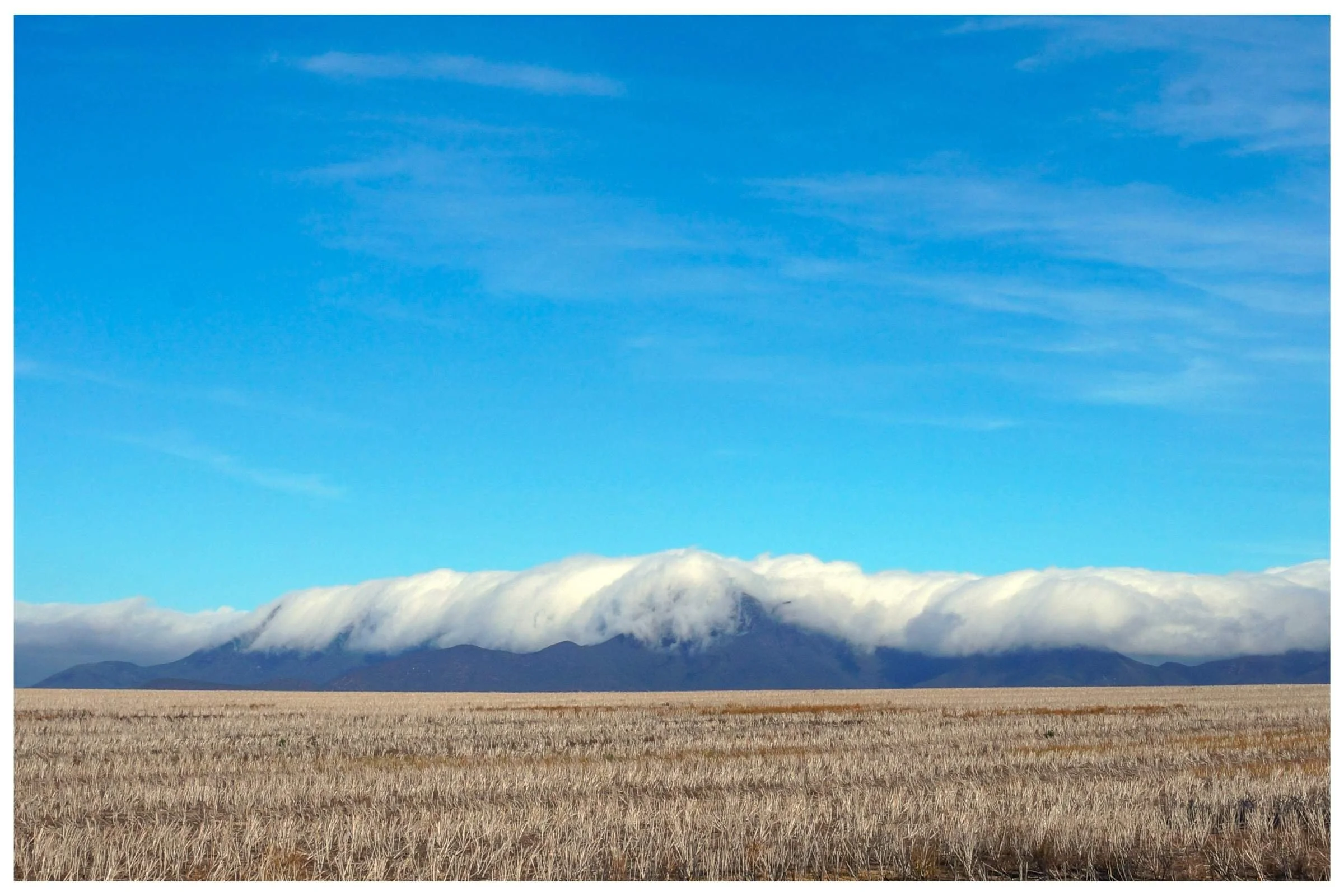 Fine Art Print 2.jpg