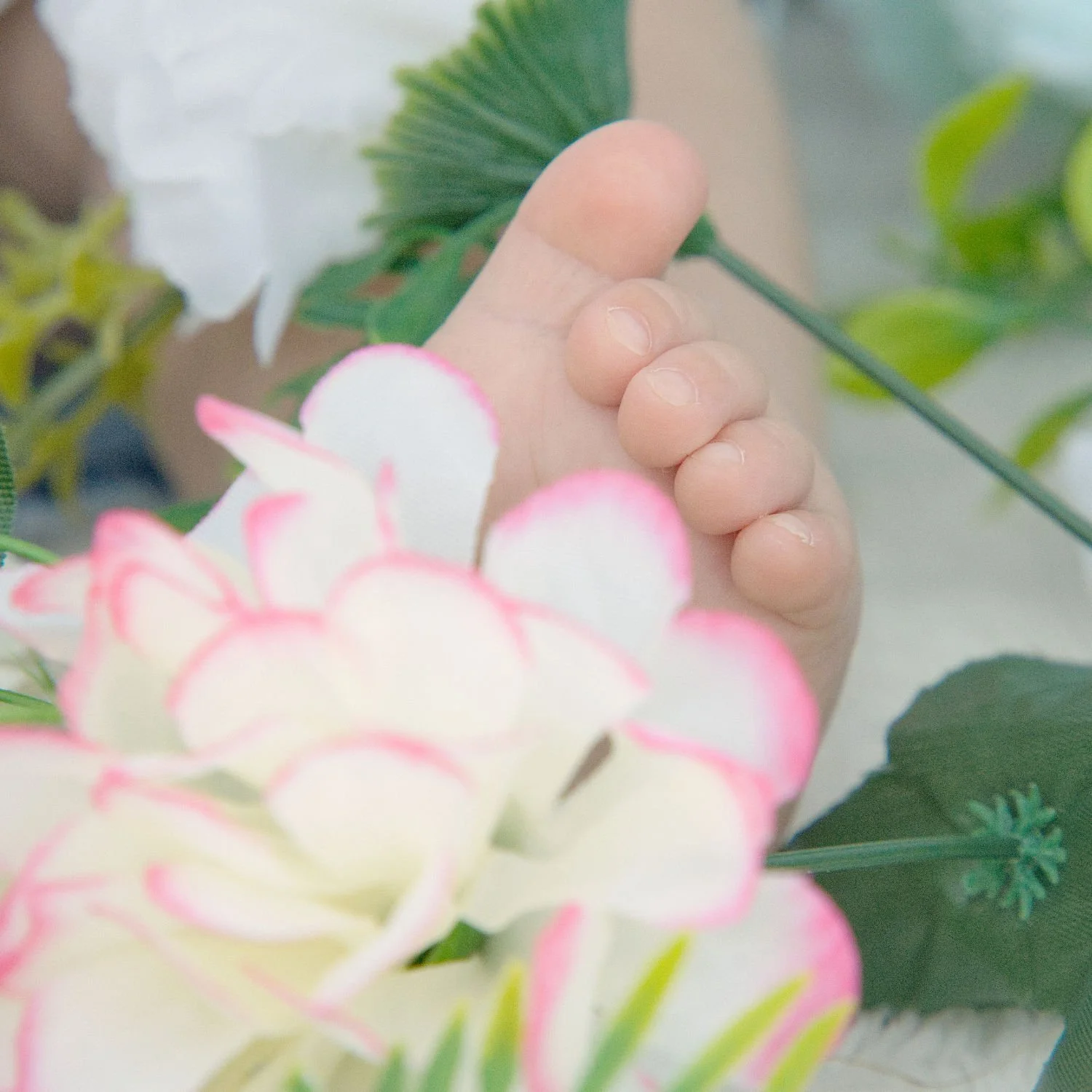 A baby's toes nestled amongst flowers