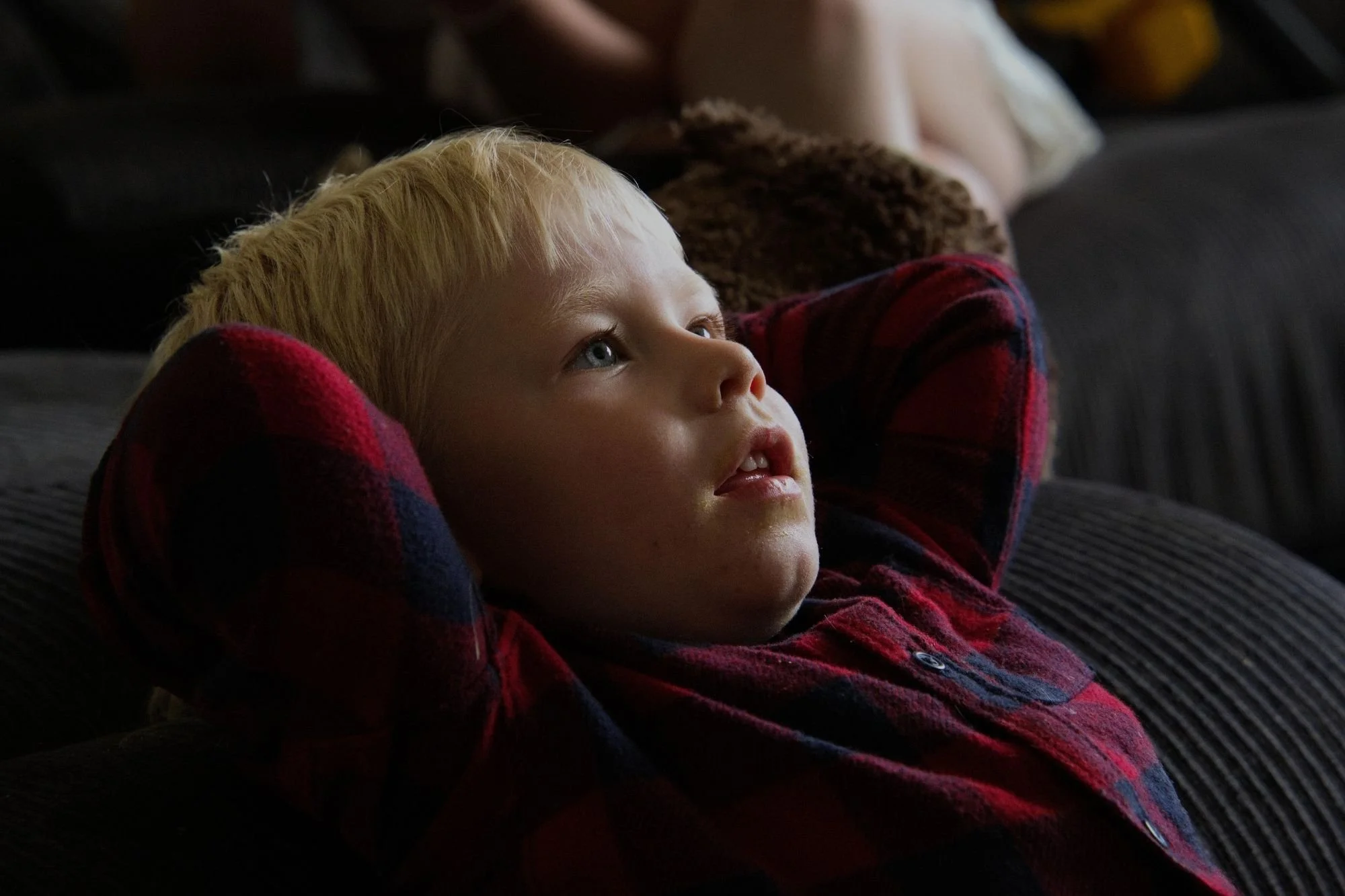 A  portrait of a young boy with blonde hair and a red flannel shirt.