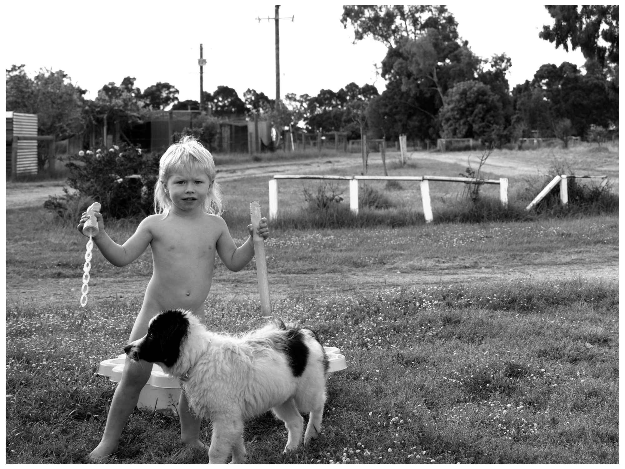 A young child with blonde hair stands outside on grass, holding a toy in each hand, with a small dog nearby. The background includes trees, a dirt road, and a fence.
