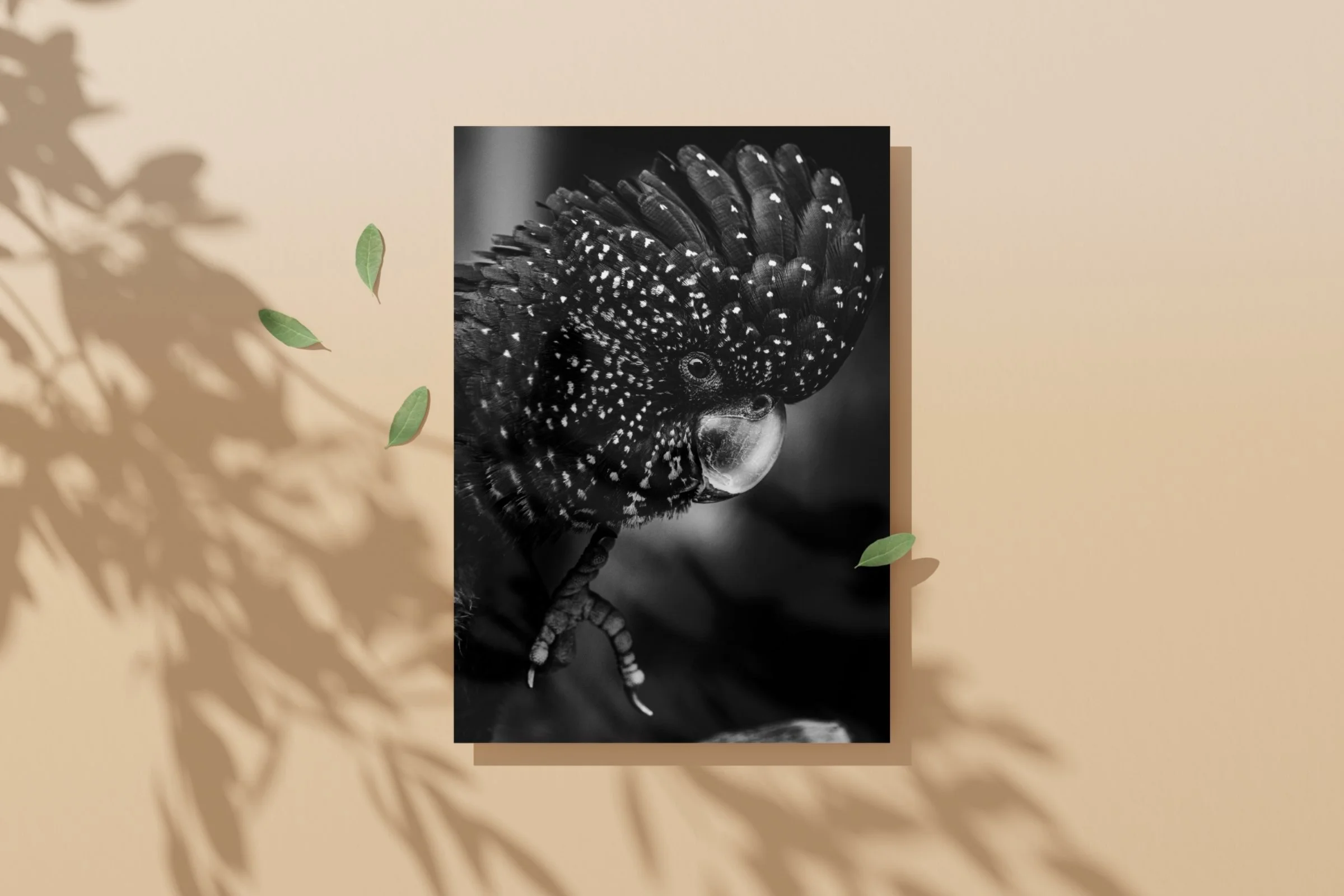 Print product img (1).jpg