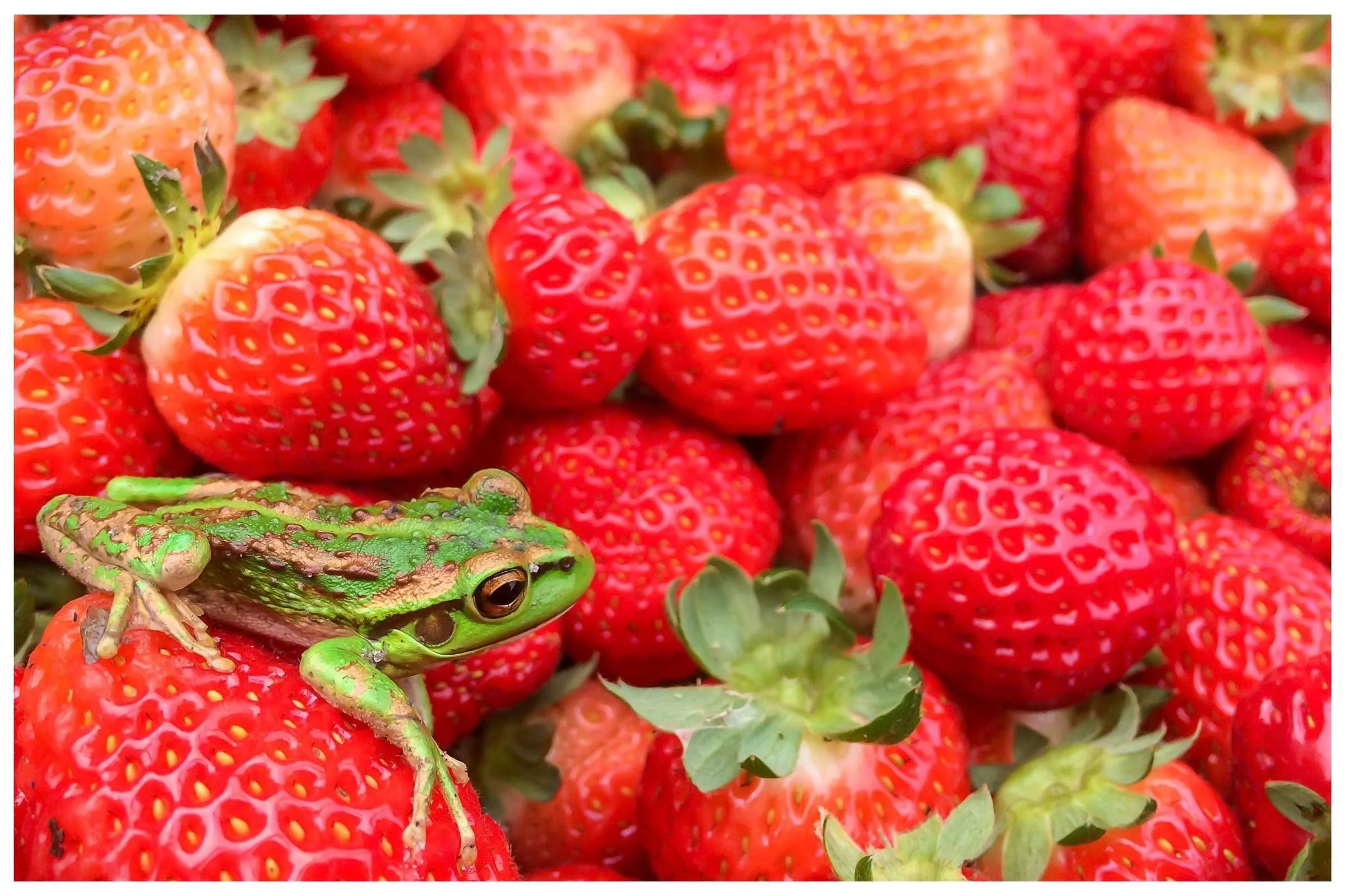 Print product img (1).jpg