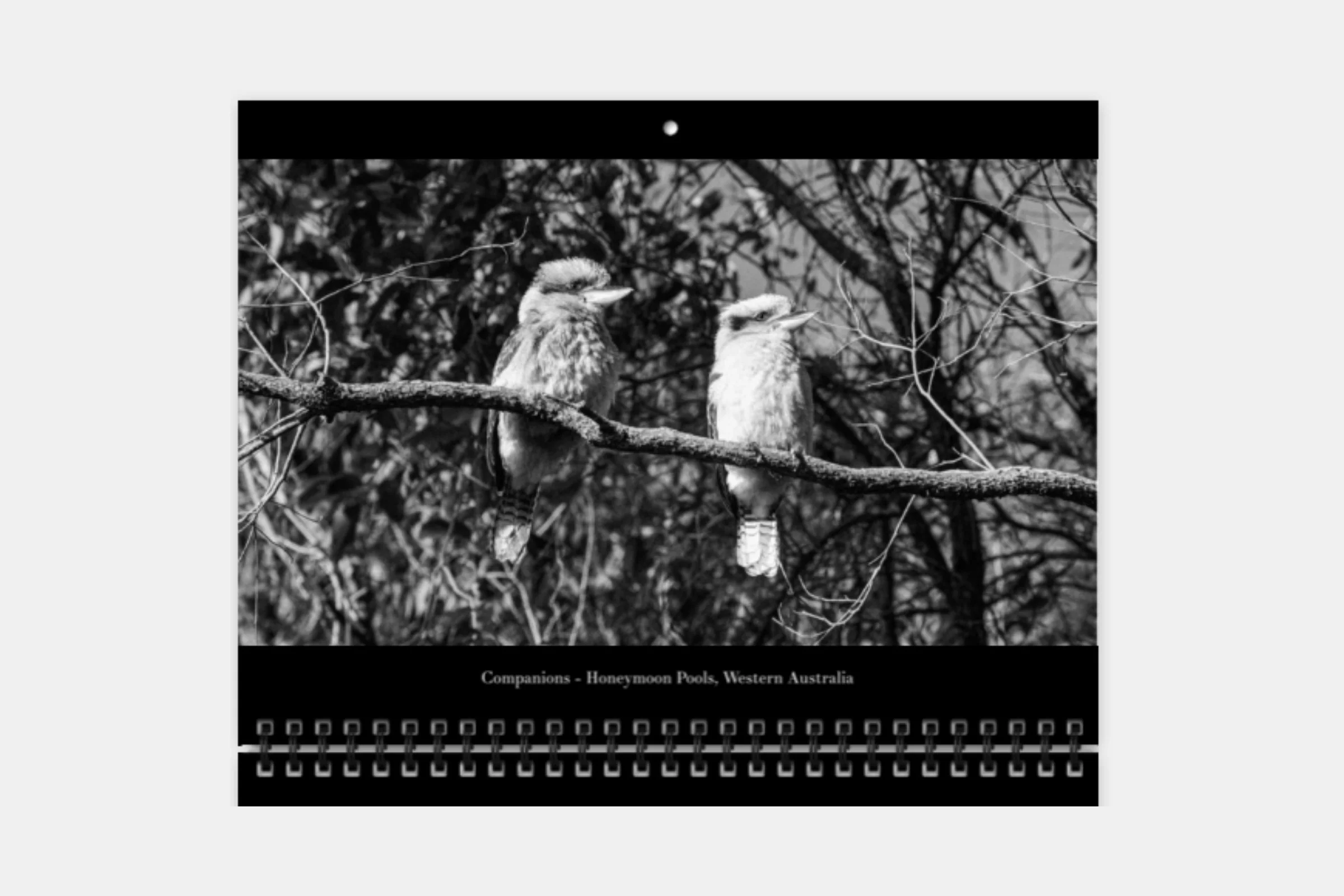 Print product img (11).jpg