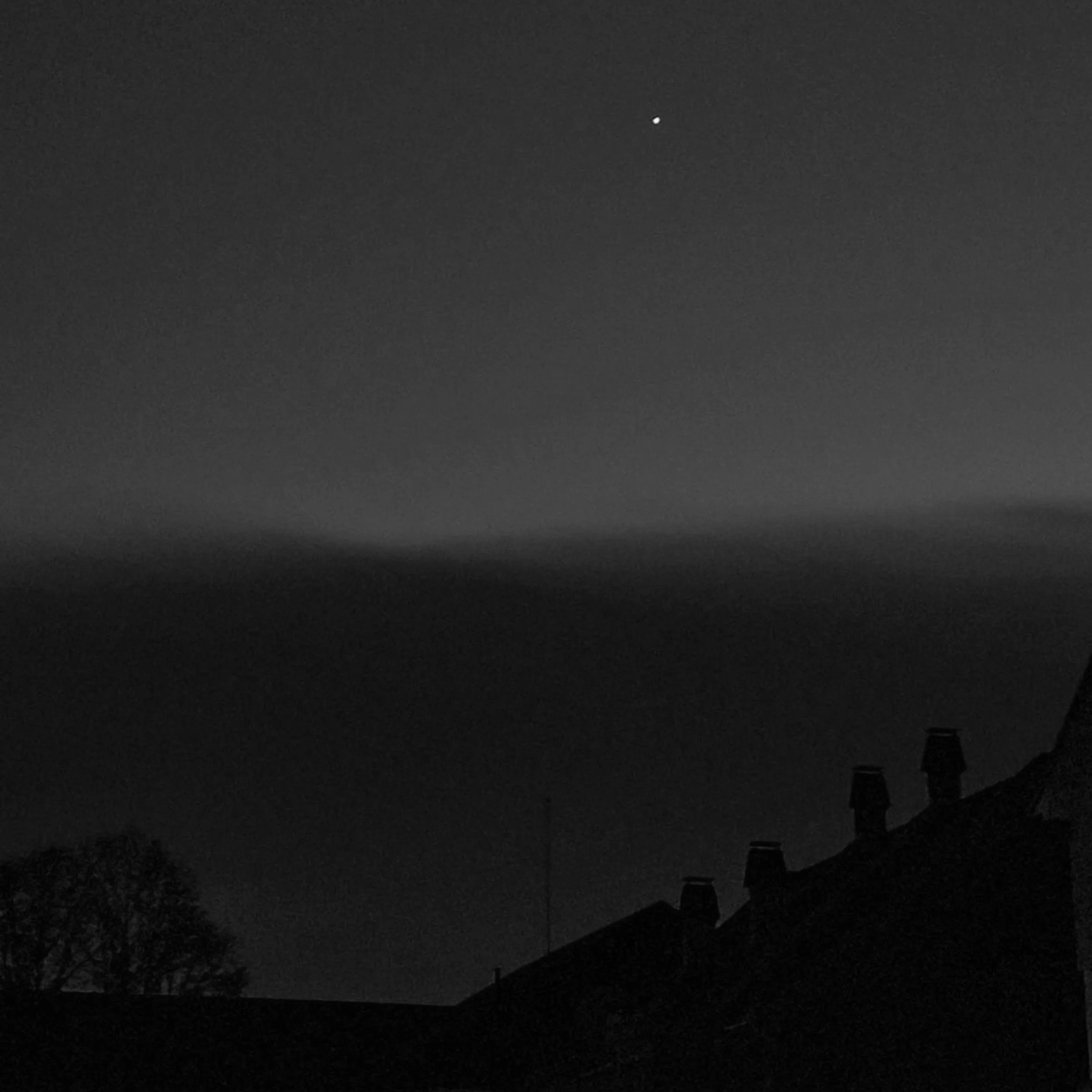 Sushisingz, Dead RoseZzz - 'sacrifice'