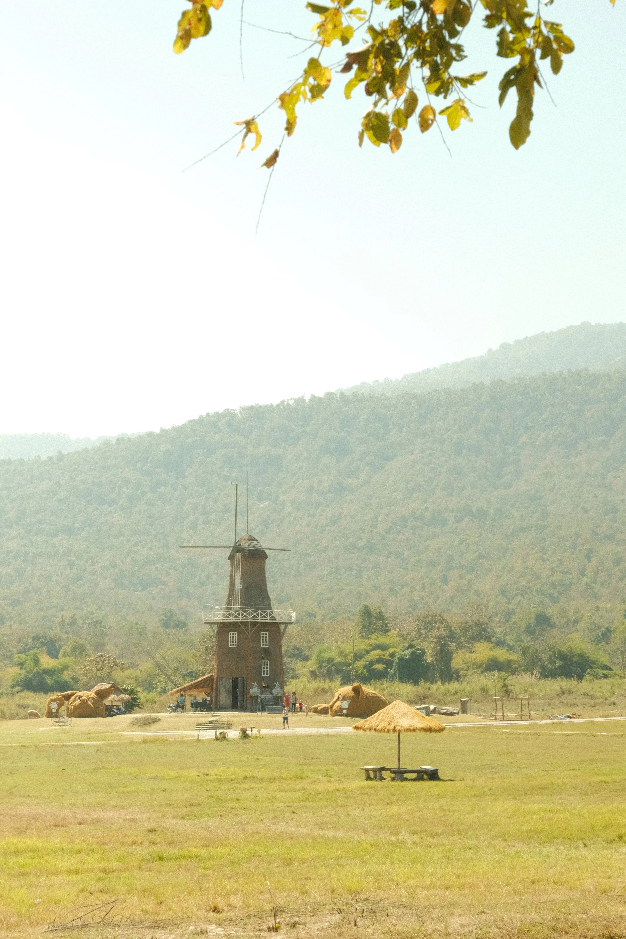 DSCF7402.JPG