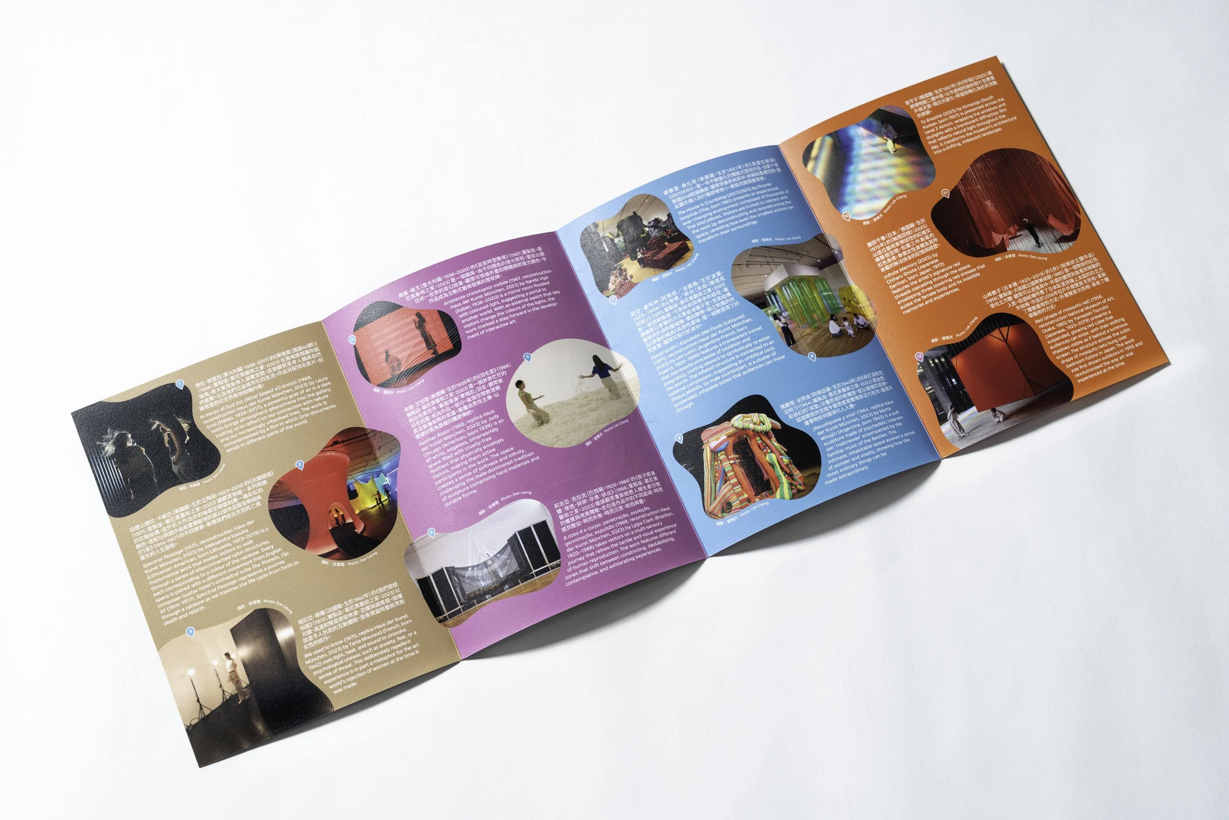 DSC02013-Edit copy.jpg