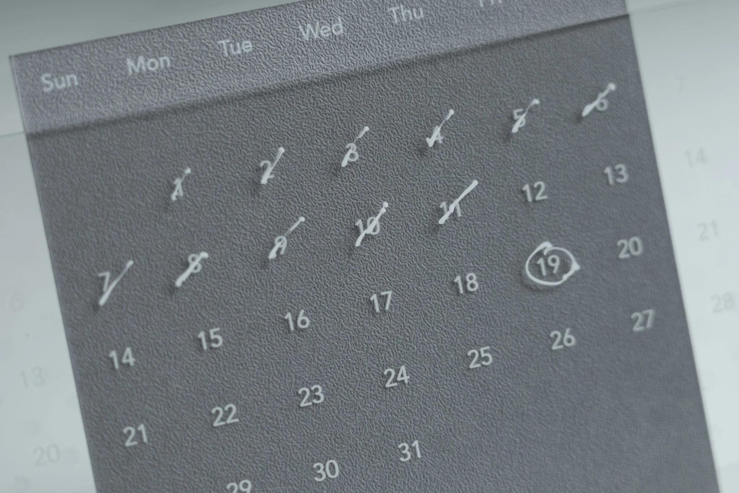 DSC01823-Edit copy.jpg