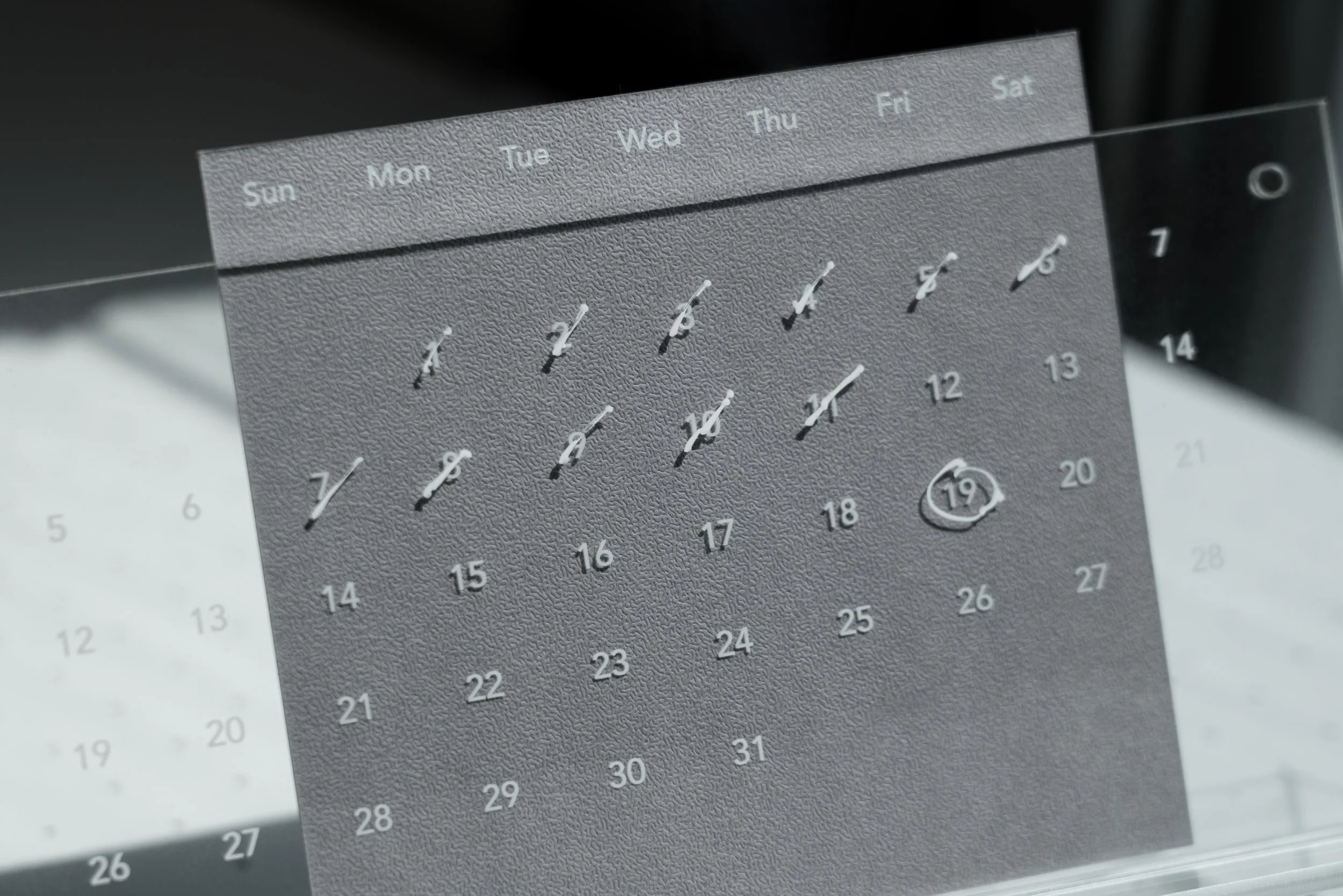 DSC01834-Edit copy.jpg