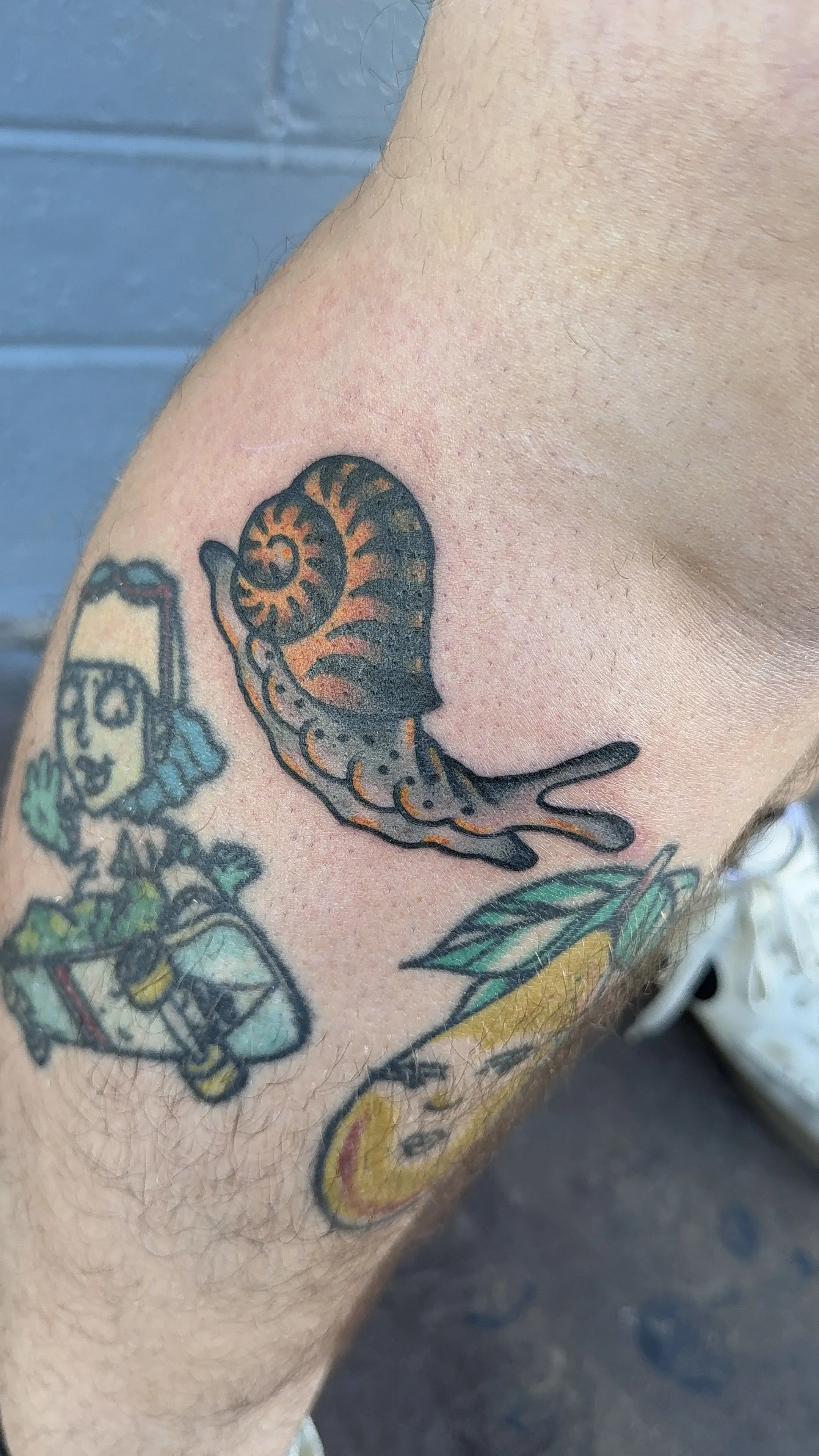 colorful snail filler tattoo american traditional style