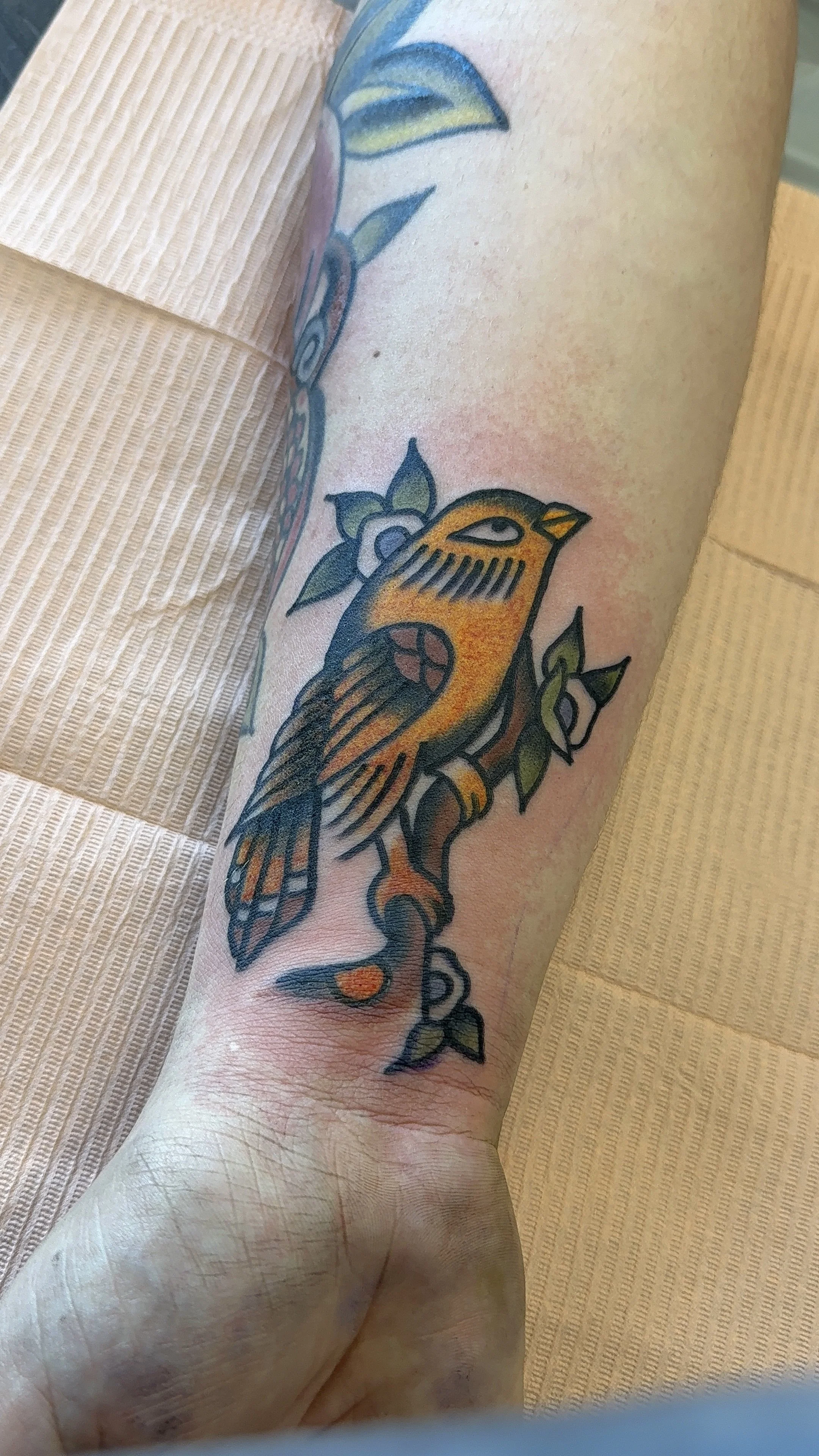 Colorful tattoo of a bird perched on a branch with leaves on a person's arm.