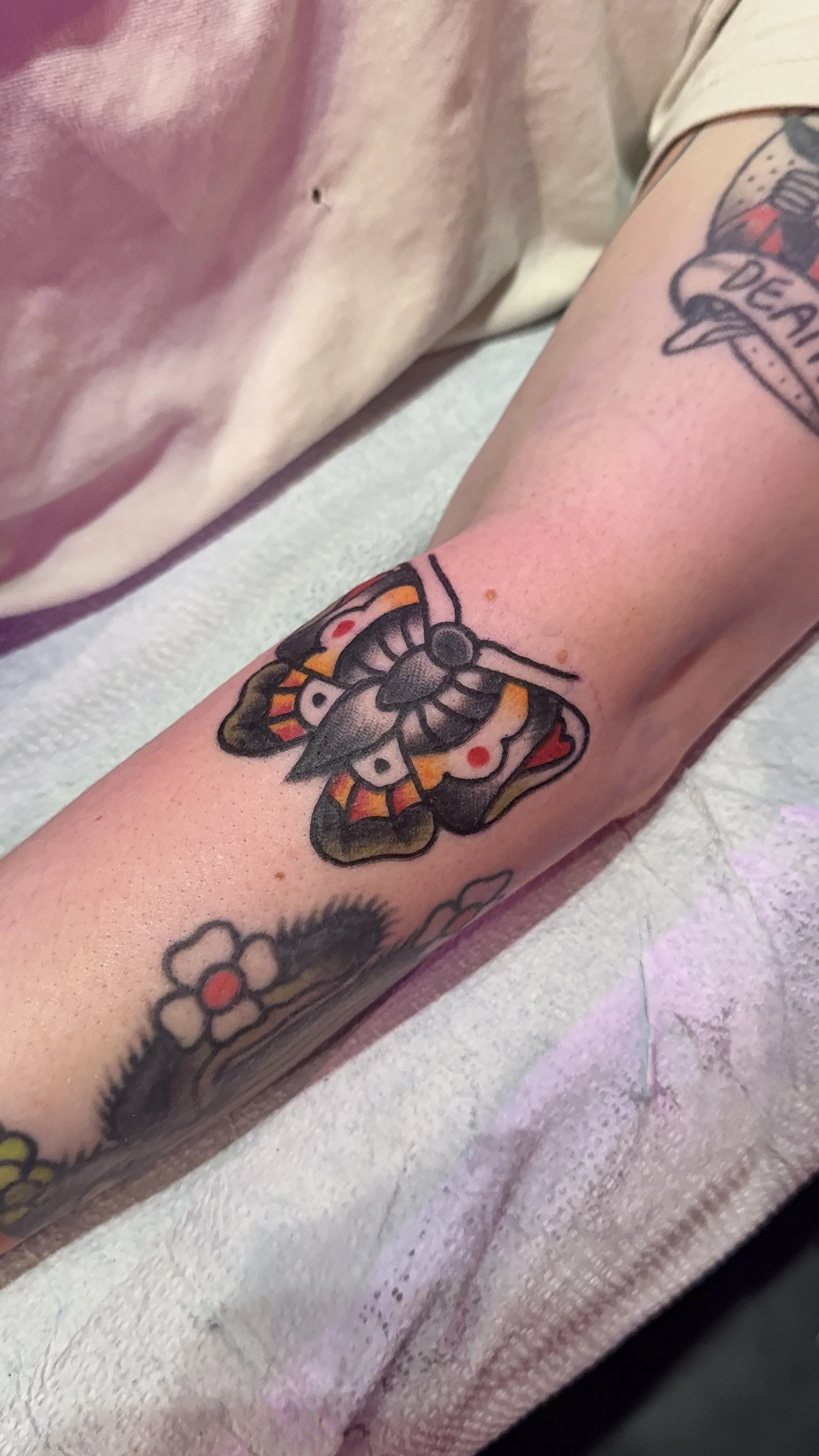 American Traditional Tattoo made in Portland, Oregon colorful butterfly tattoo