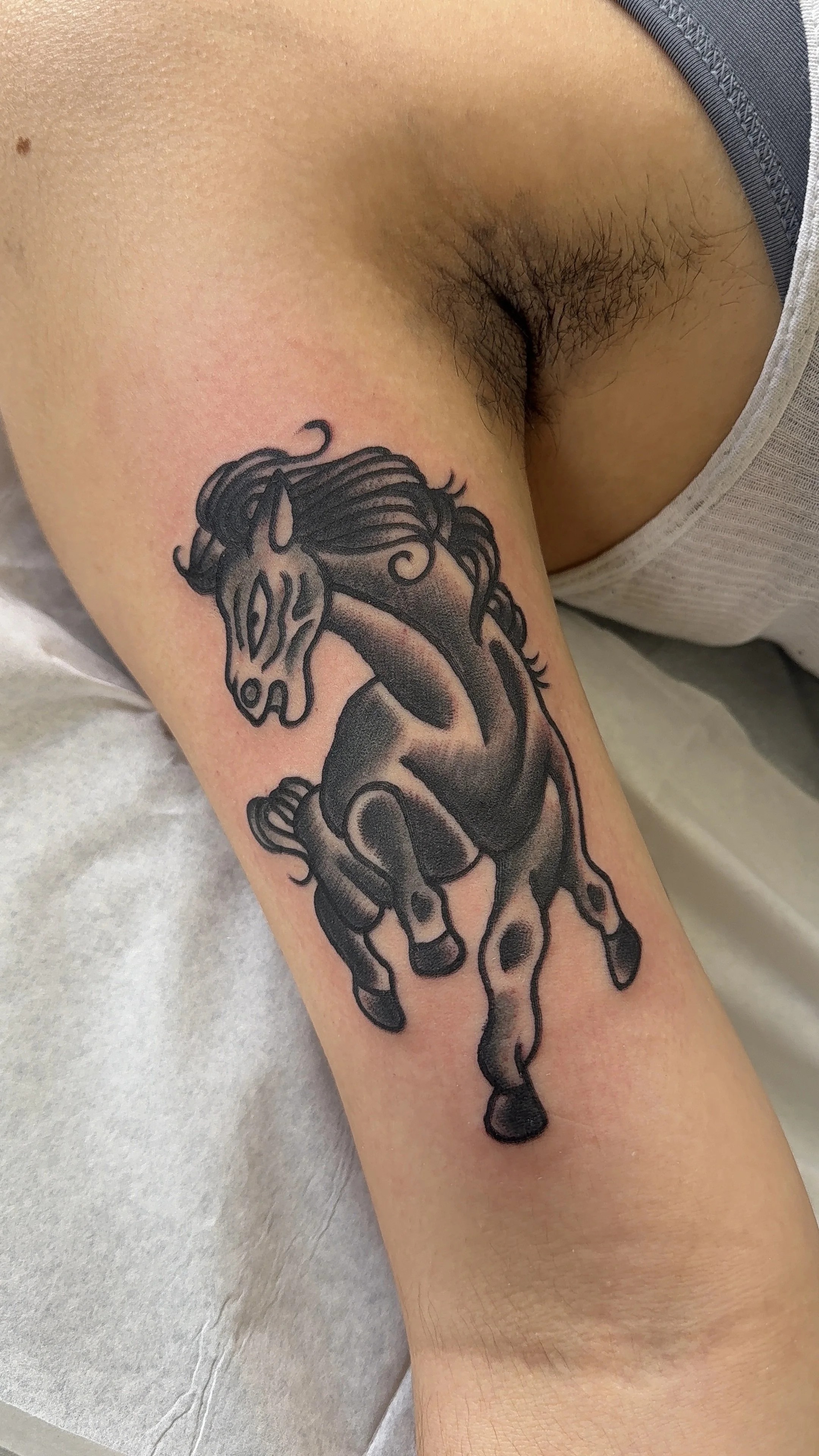 Tattoo of a black horse on a person's forearm.