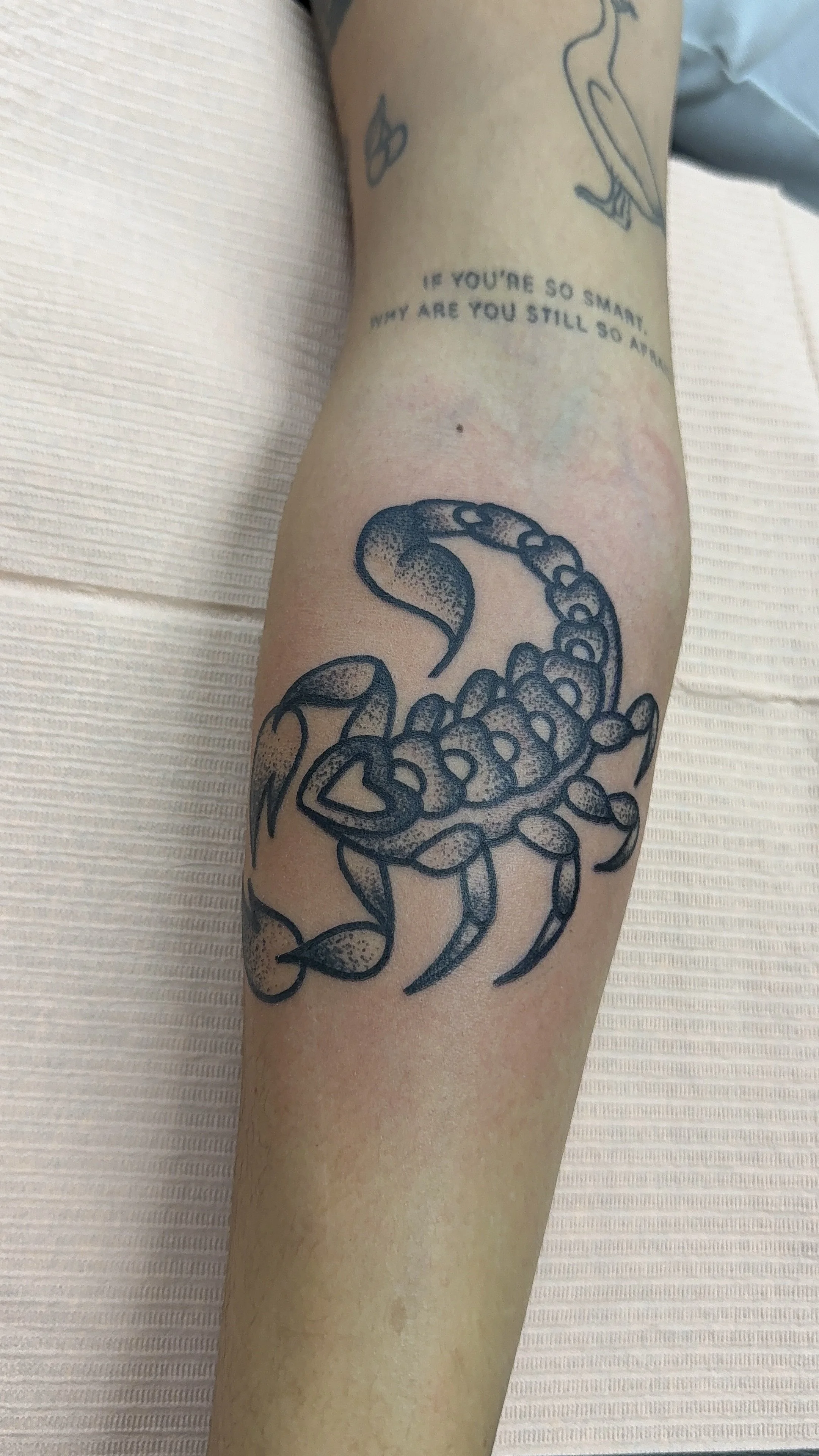 blackwork scorpion tattoo american traditional style heart shaped