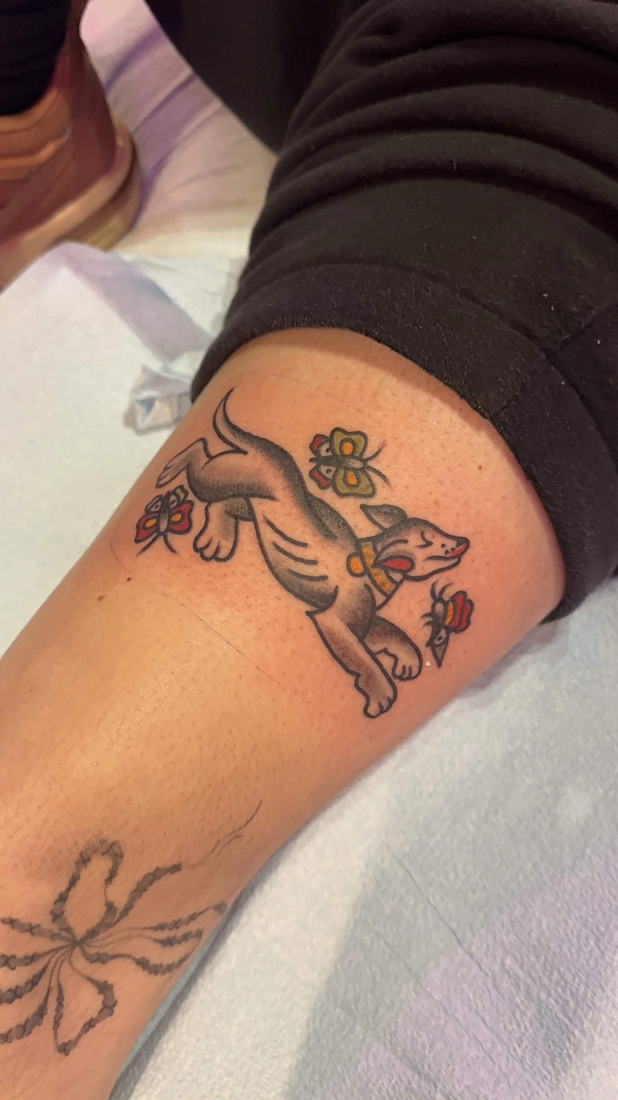 dog chasing butterfly american traditional style tattoo