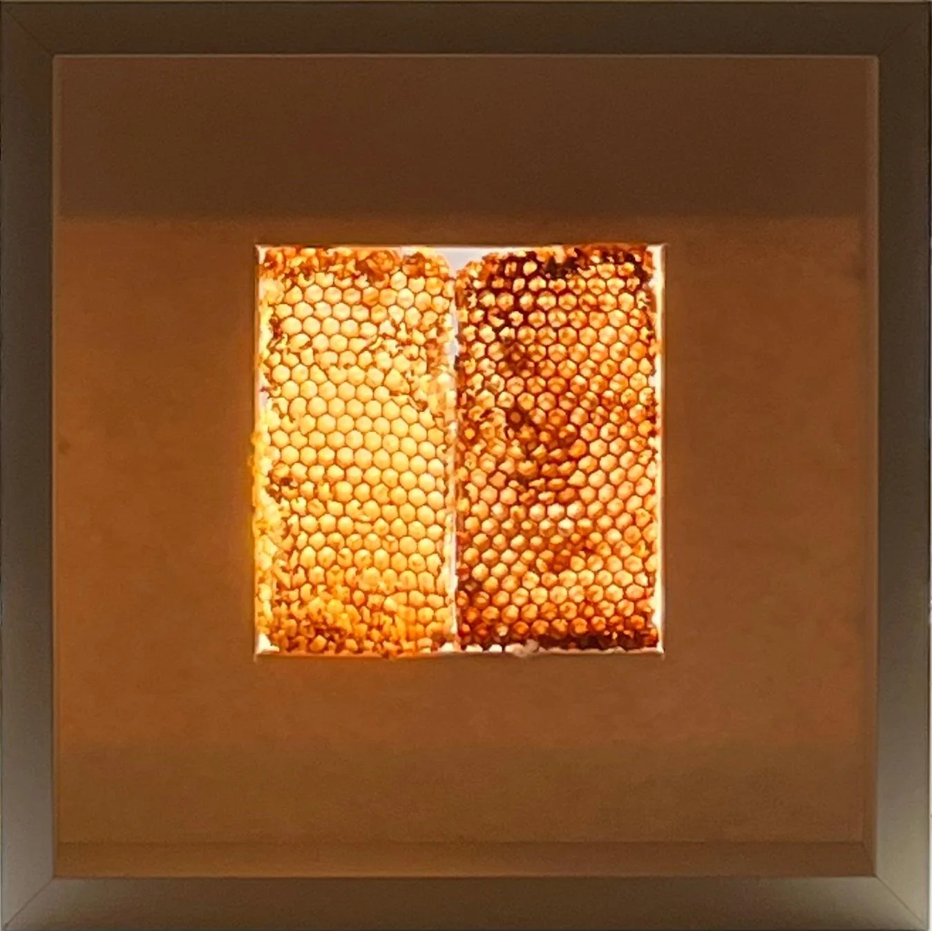 A square light fixture with a central grid of hexagonal honeycomb panels, one side glowing yellow and the other darker.