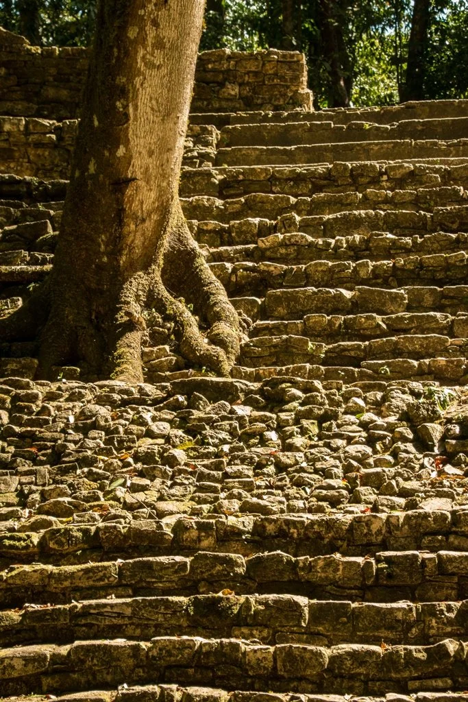 Palenque-61.jpg
