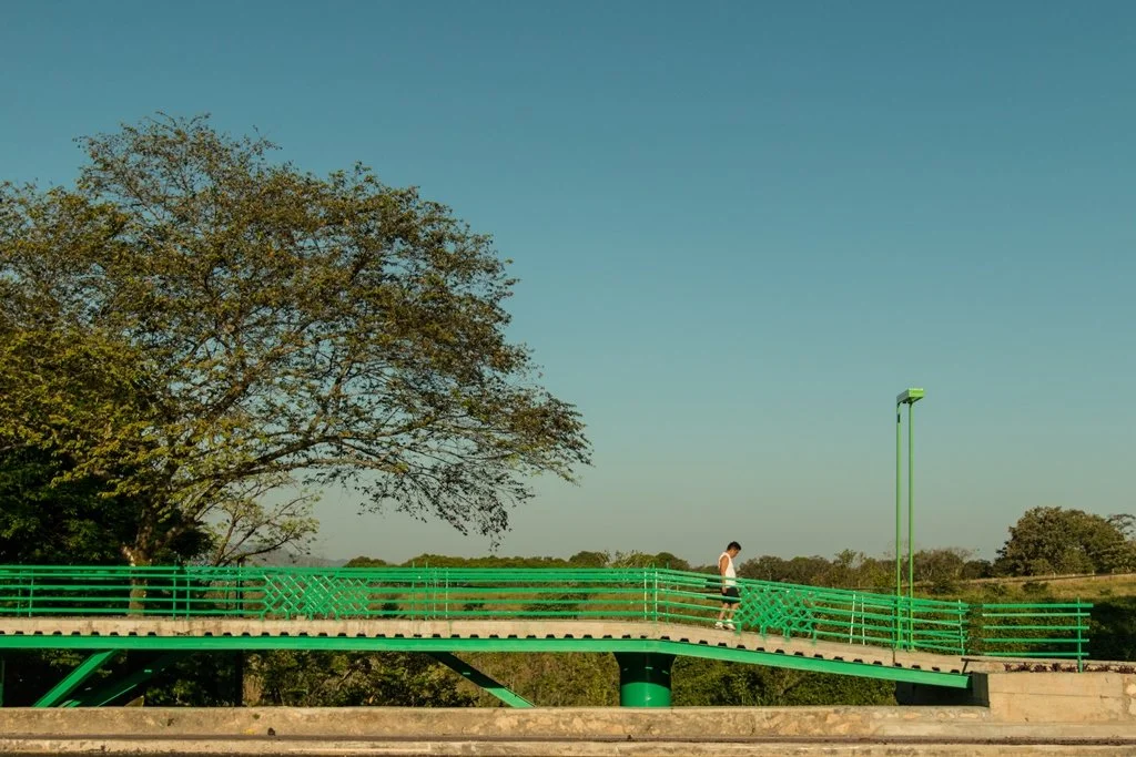 Boulevard Palenque