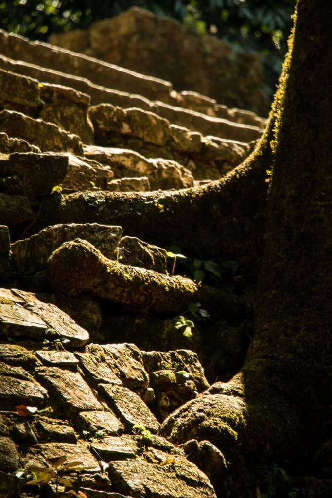 Palenque-63.jpg