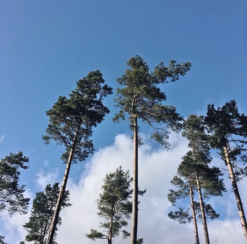 𝐋𝐚 𝐩𝐫𝐨𝐝𝐮𝐜𝐭𝐢𝐯𝐢𝐭𝐞́ 𝐬𝐞 𝐦𝐞𝐬𝐮𝐫𝐞 𝐞𝐧 𝐫𝐞́𝐬𝐮𝐥𝐭𝐚𝐭𝐬. 𝐋𝐚 𝐜𝐫𝐞́𝐚𝐭𝐢𝐯𝐢𝐭𝐞́, 𝐞𝐧 𝐞𝐬𝐩𝐚𝐜𝐞𝐬 𝐝𝐞 𝐥𝐢𝐛𝐞𝐫𝐭𝐞́.

Chez DITO nous avons instaur&eacute; une journ&eacute;e par mois consacr&eacute;e &agrave; l&rsquo;insp