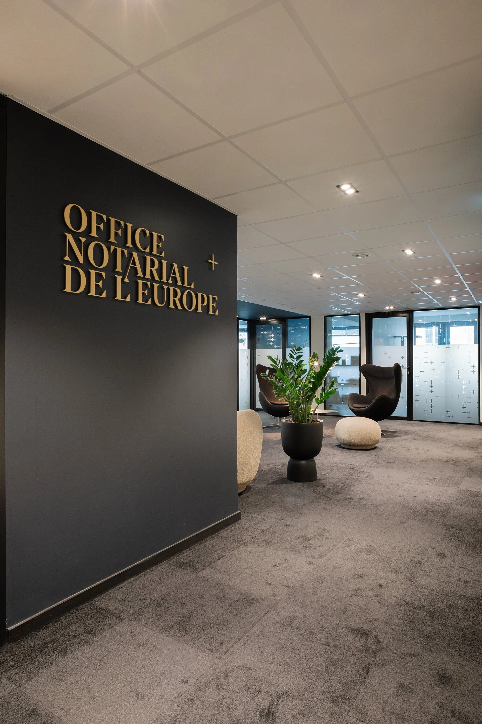 DSC07674-Aurelien_Aumond-DITO_Europe.jpg