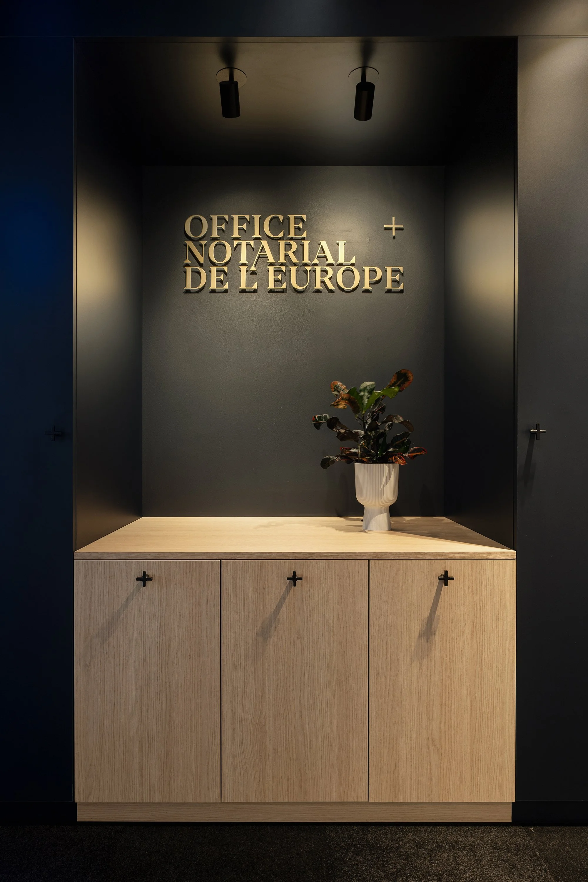 DSC07715-Aurelien_Aumond-DITO_Europe.jpg