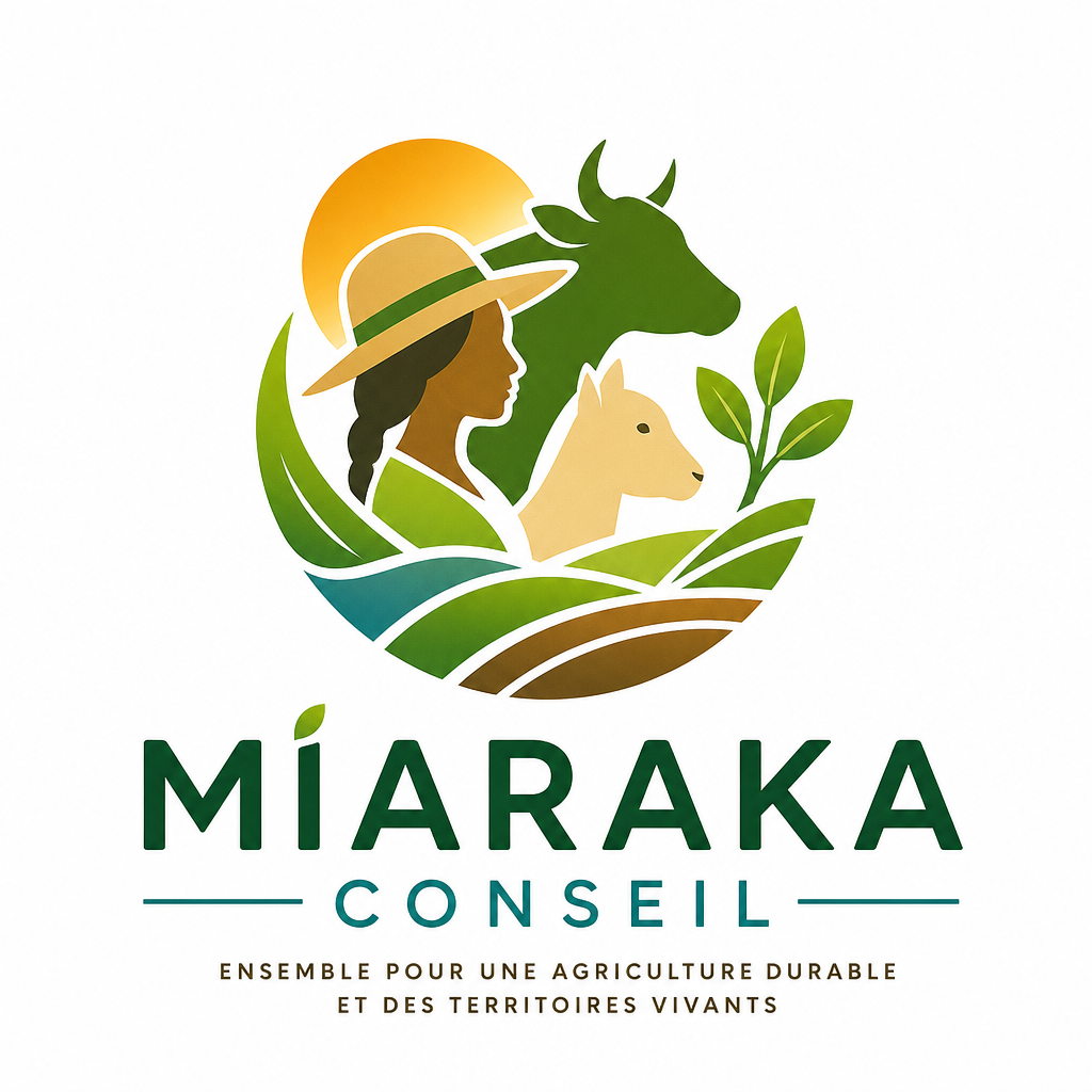 Miaraka Conseil