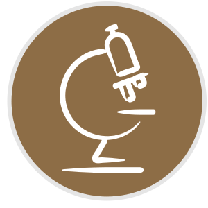 Microscope illustration