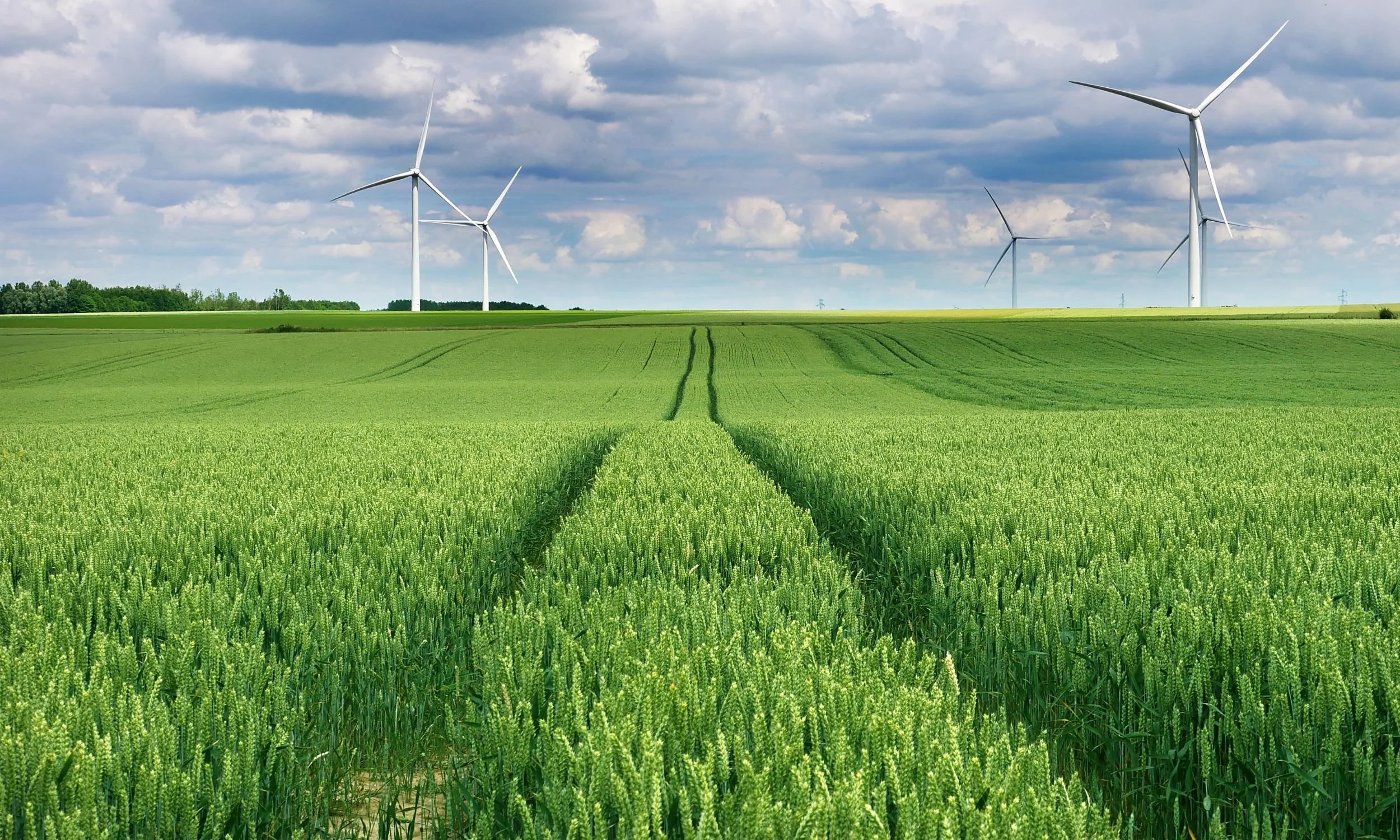 Green field with wind turbines and a line of trees in the background, with a blue sky covered in white clouds