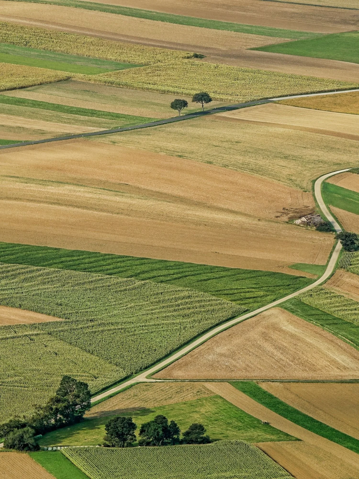 Birdseye view of arable fields, a road running through the middle and a few trees dotted around