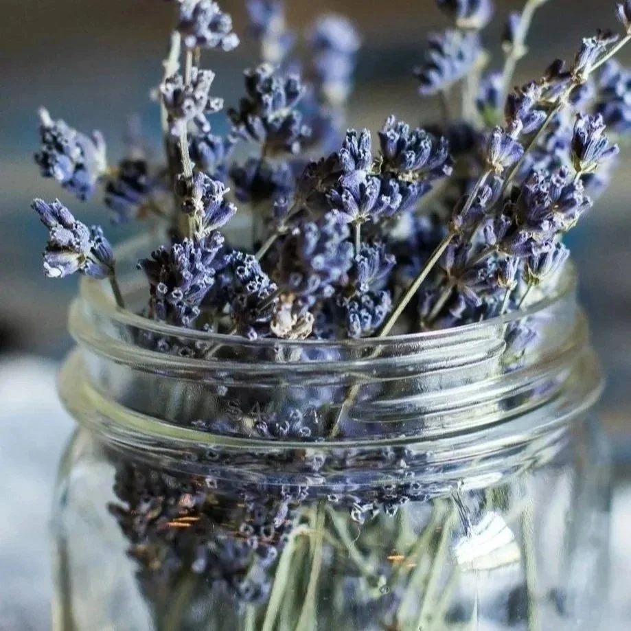 7 Ways to Incorporate Lavender