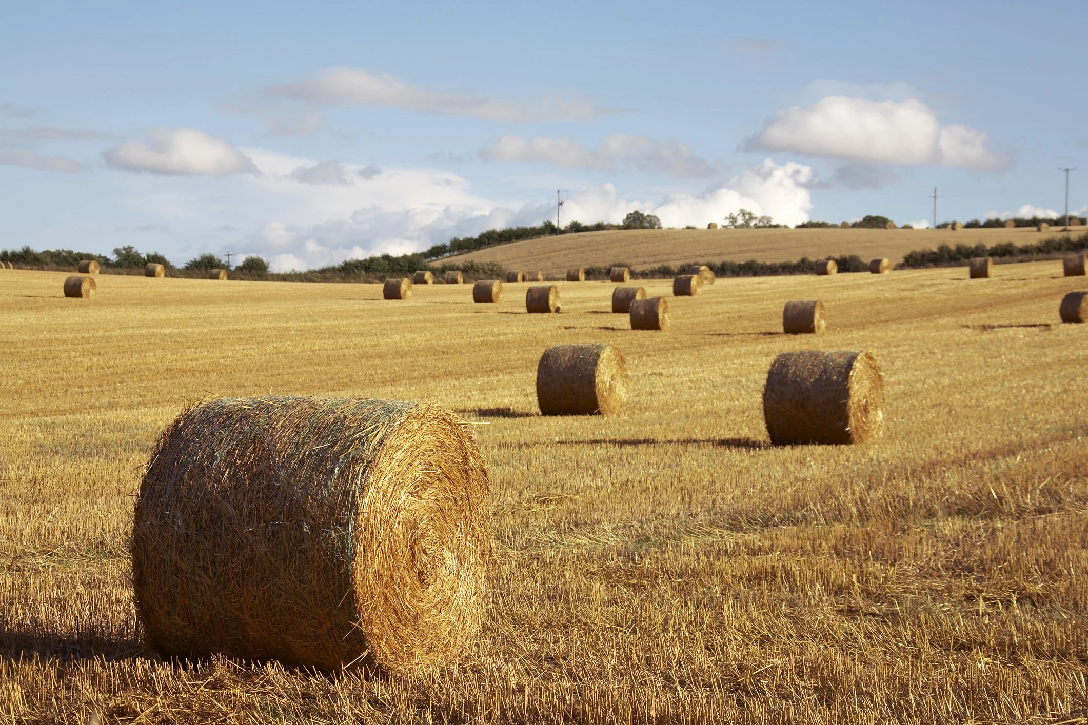 Making hay while the sun shines